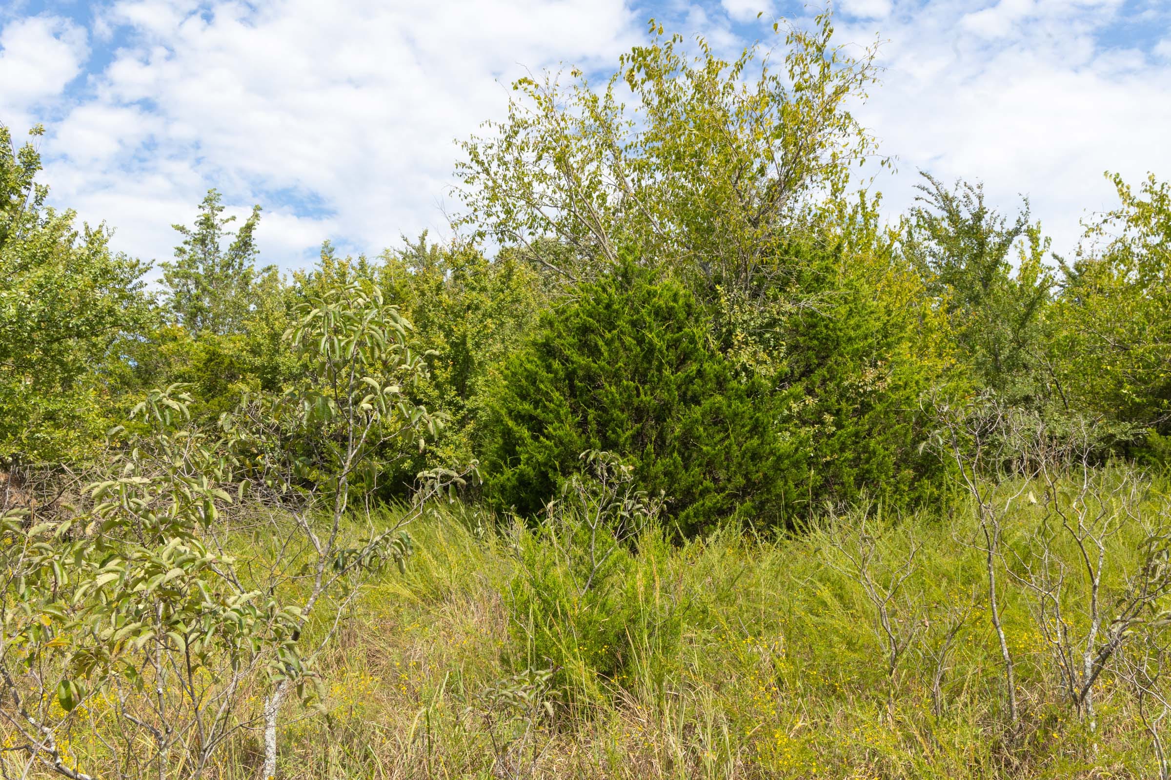 Reserves At Cattail Cove Phase II Tract 57 photo 8