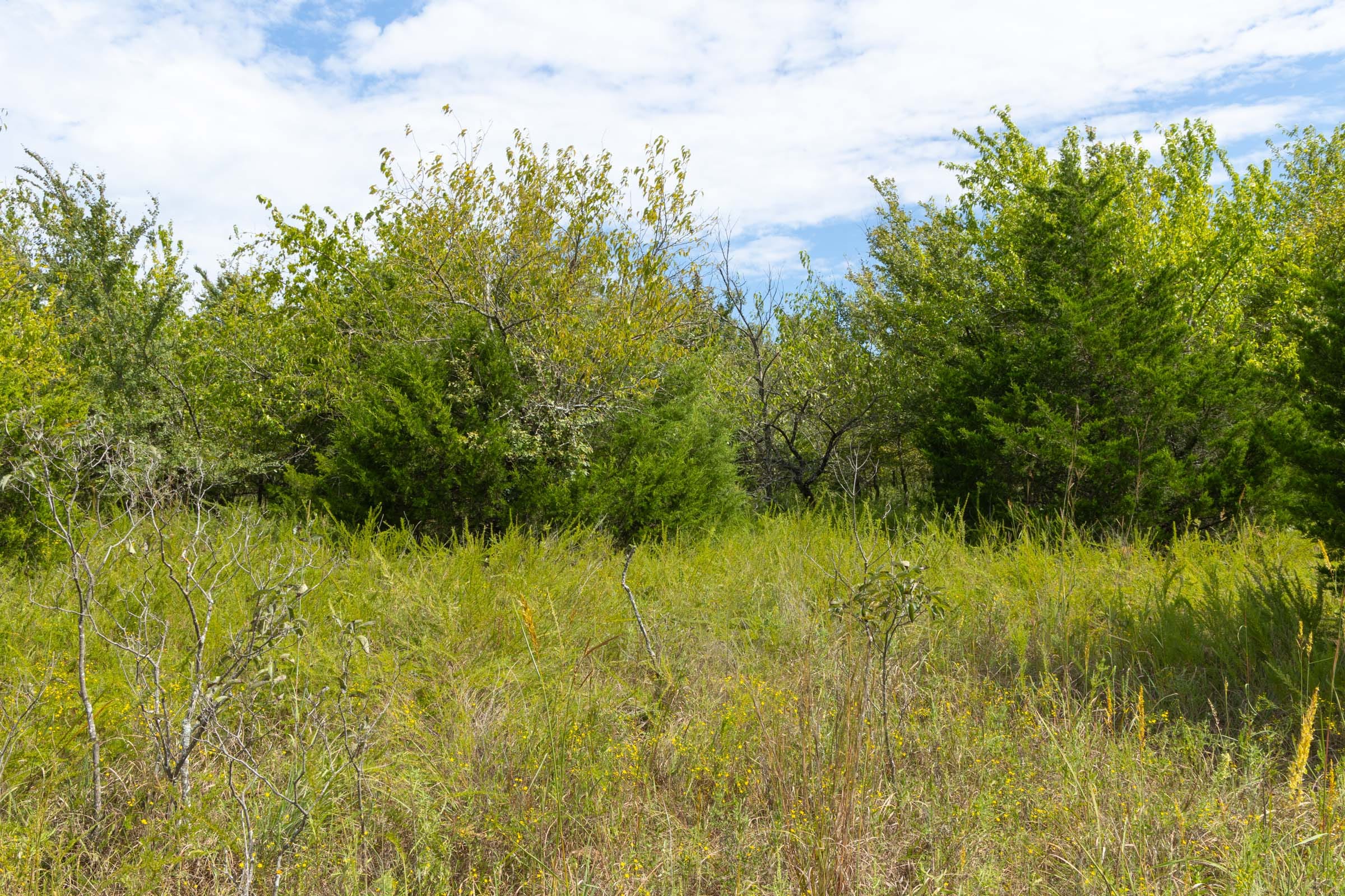 Reserves At Cattail Cove Phase II Tract 57 photo 4