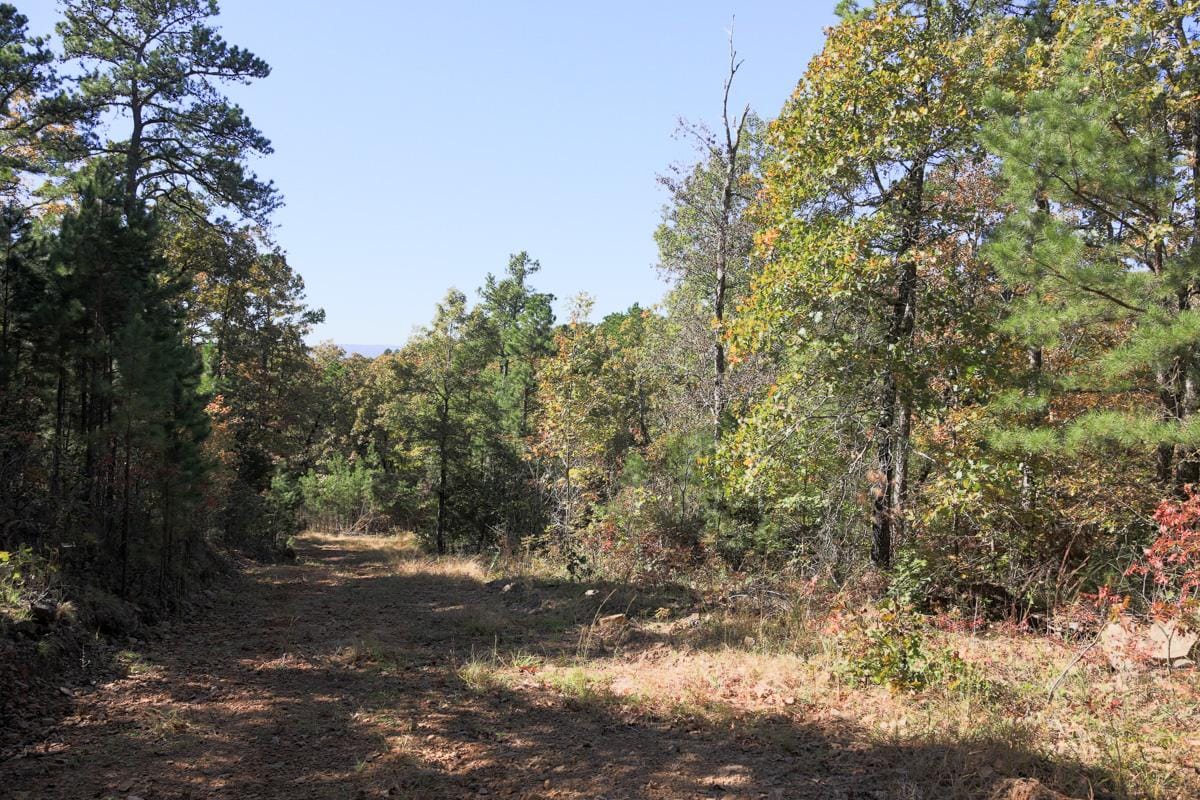 Stone Creek Phase I Tract 115 photo 3