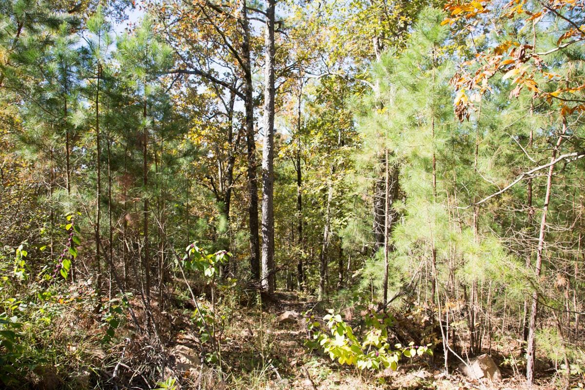 Stone Creek Phase I Tract 115 photo 6