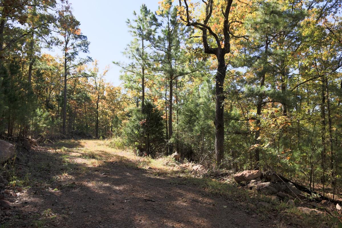 Stone Creek Phase I Tract 115 photo 9