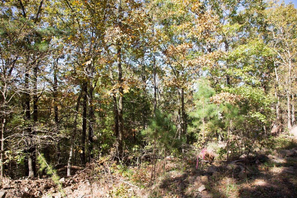 Stone Creek Phase I Tract 115 photo 11