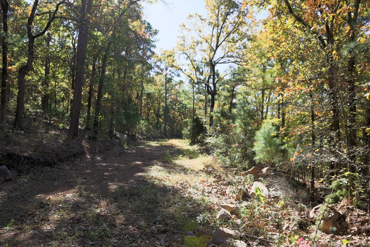 Stone Creek Phase I Tract 115 photo 12