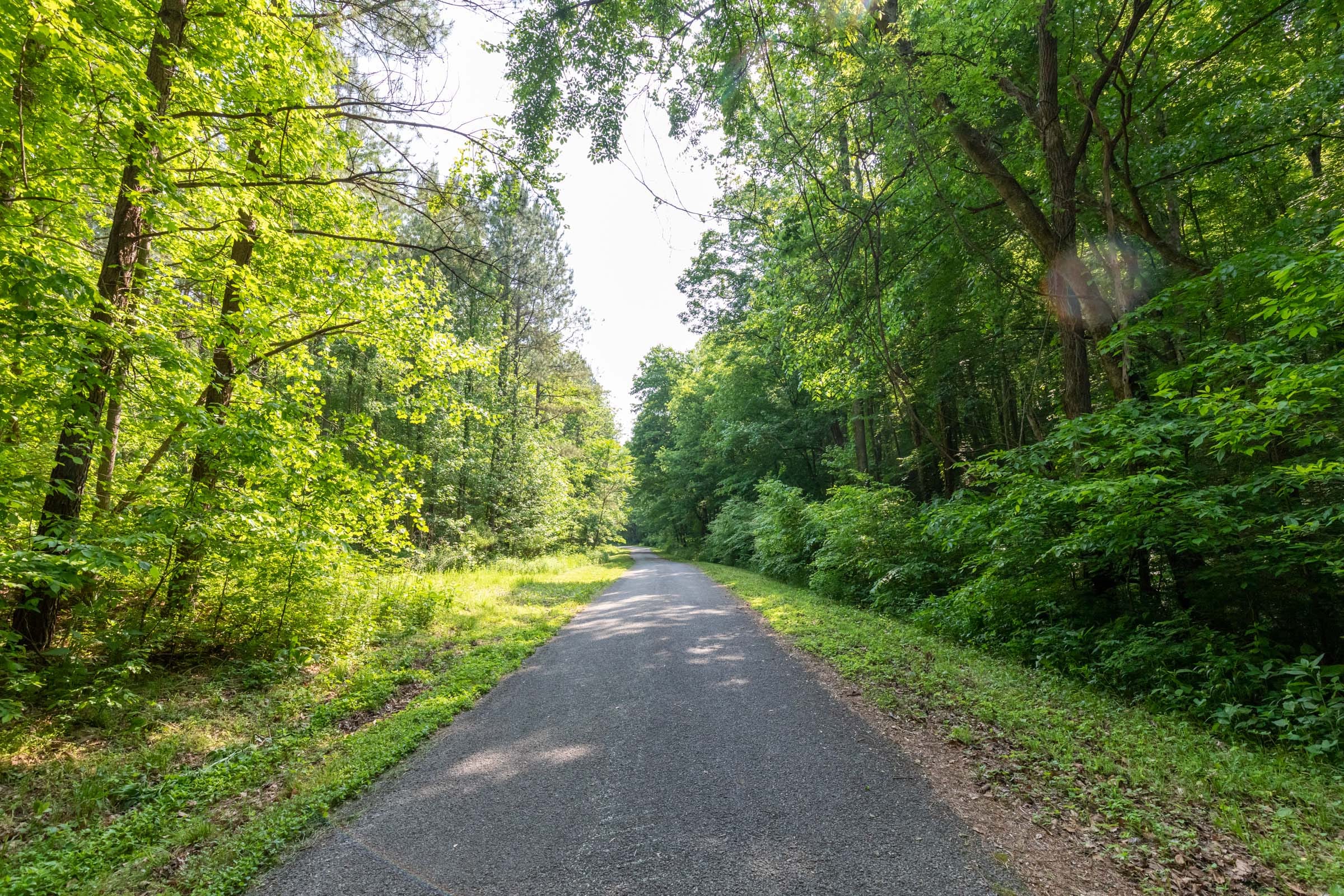 Cedar Creek Tract 51 photo 1