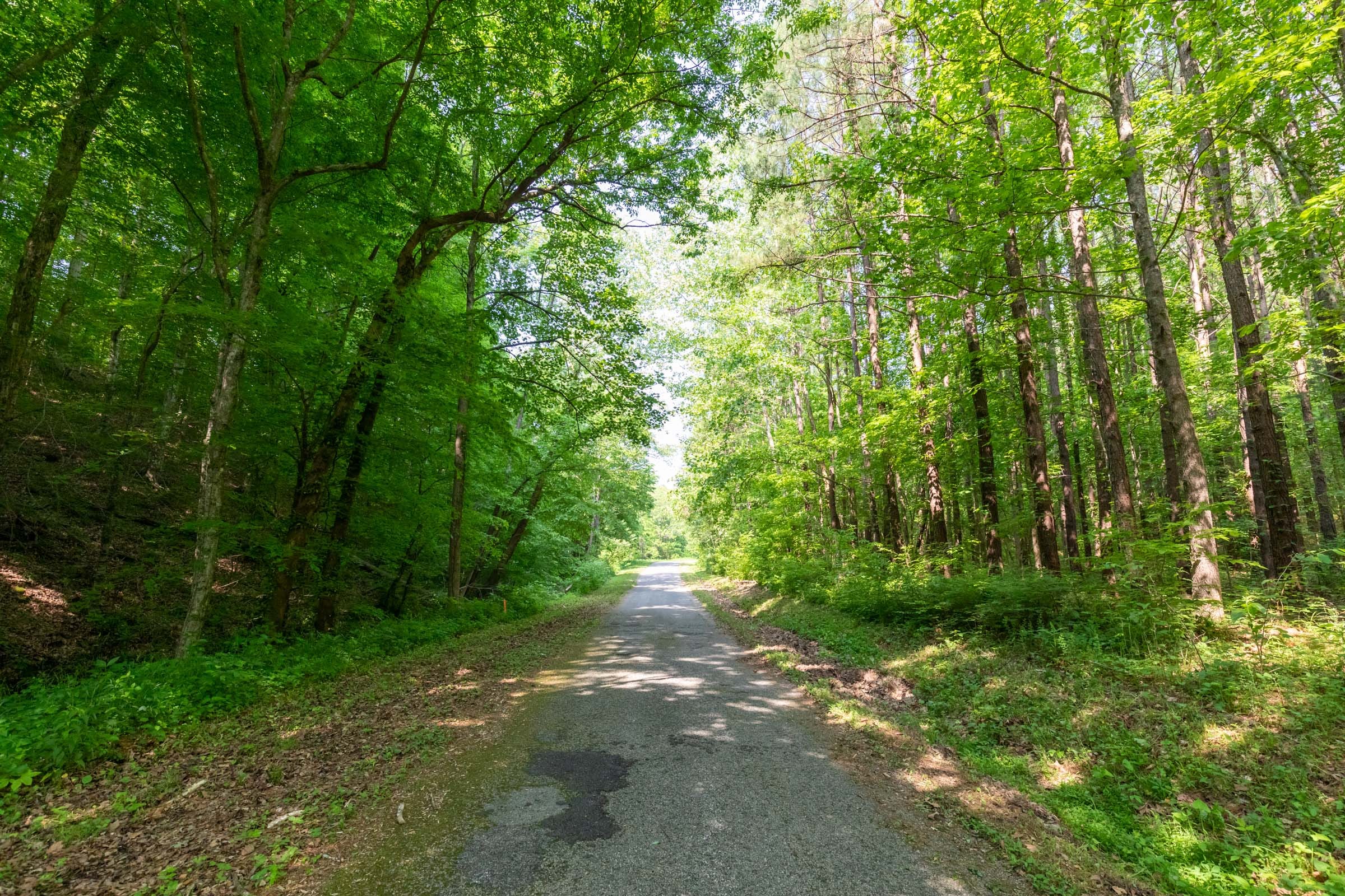 Cedar Creek Tract 51 photo 7