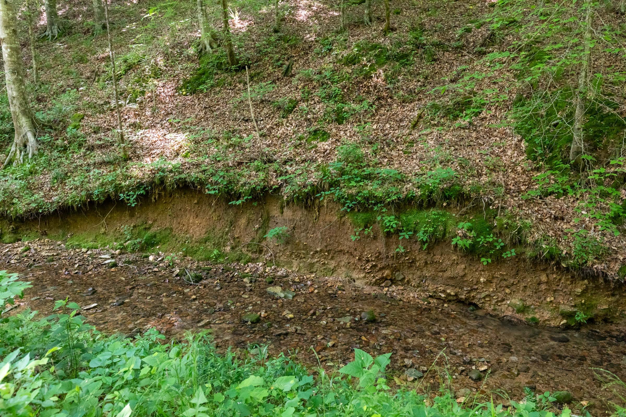 Cedar Creek Tract 51 photo 2