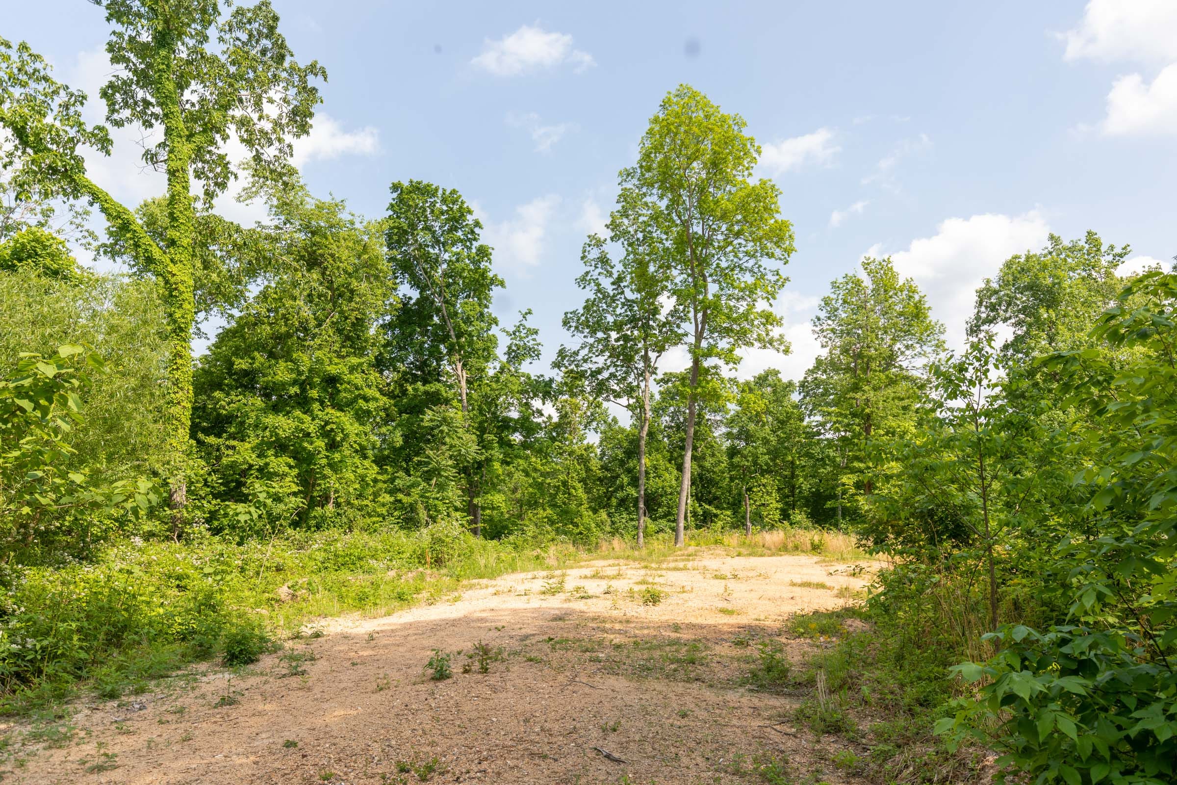 Cedar Creek Tract 51 photo 9