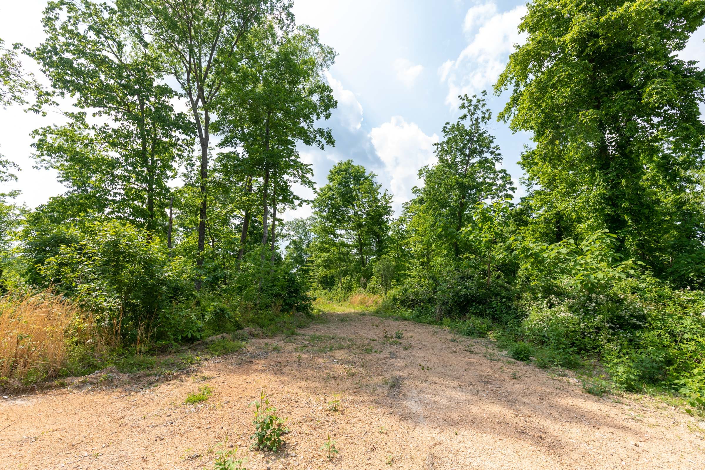 Cedar Creek Tract 51 photo 11