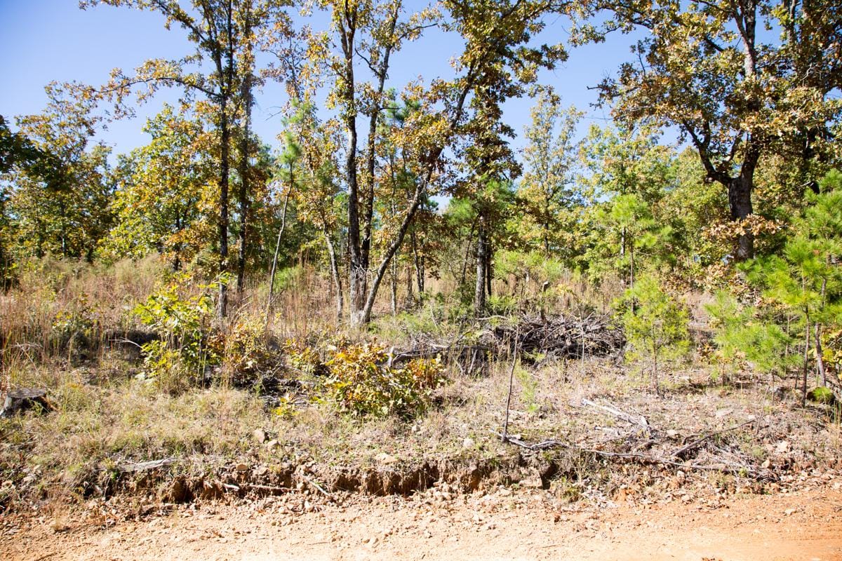 Stone Creek Phase I Tract 185 photo 10