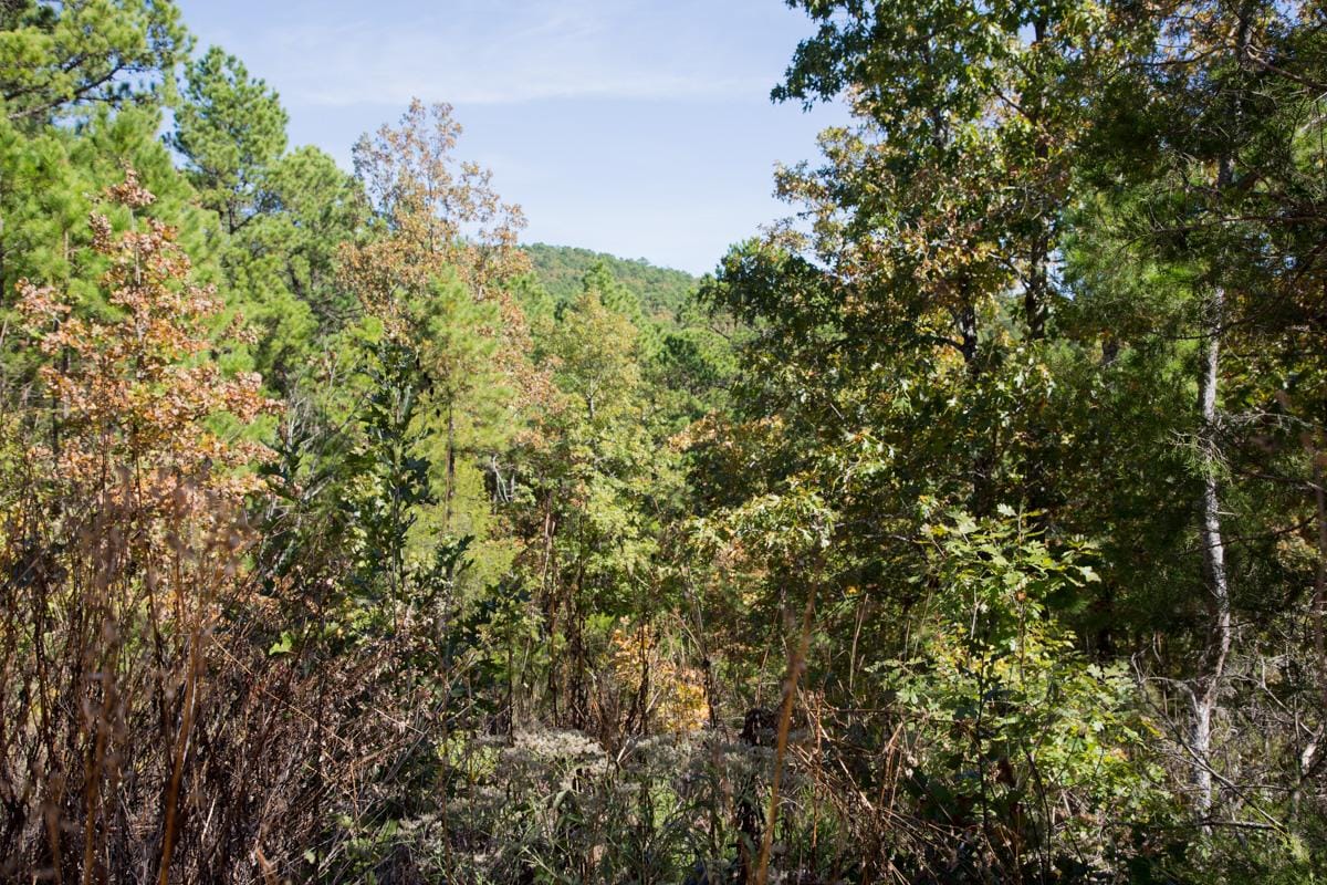 Stone Creek Phase I Tract 185 photo 11