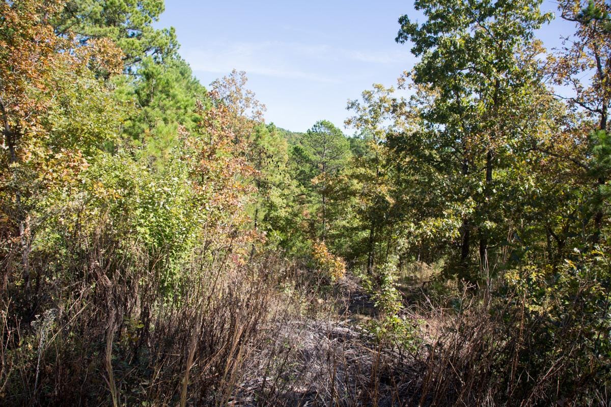 Stone Creek Phase I Tract 185 photo 12