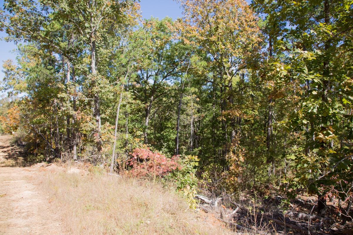 Stone Creek Phase I Tract 185 photo 14