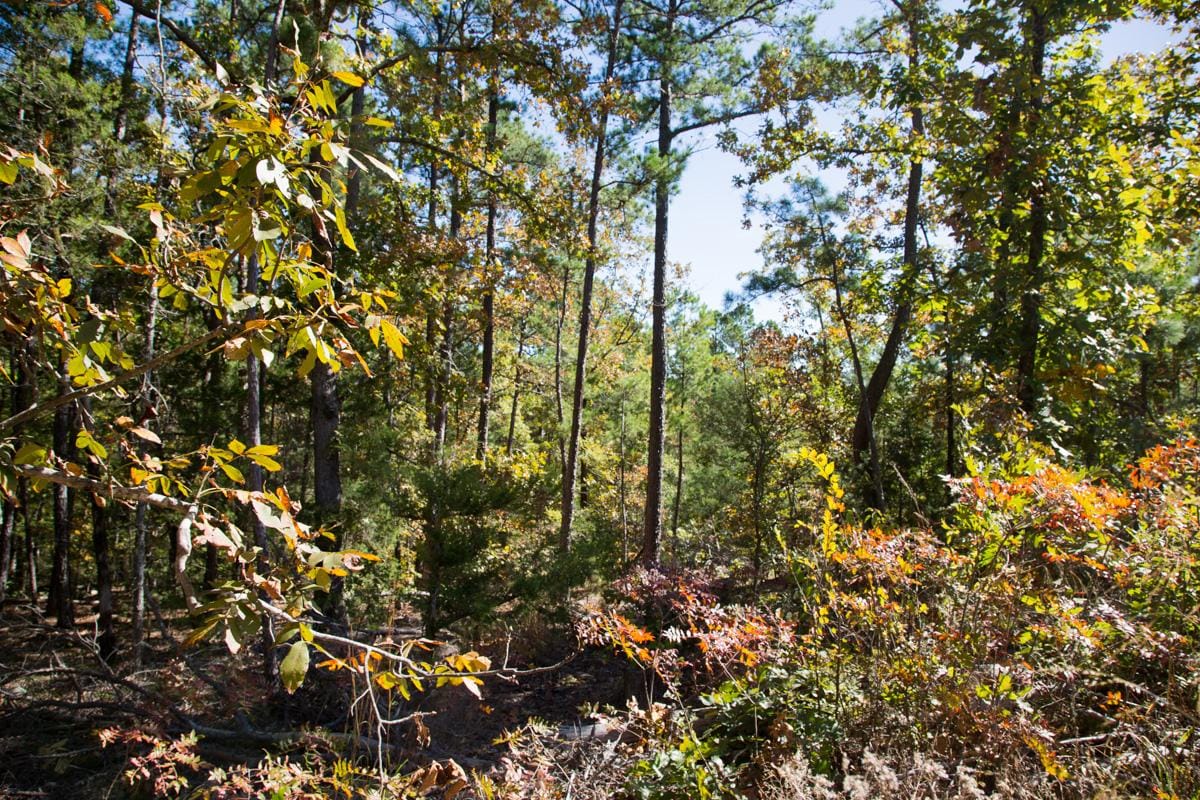 Stone Creek Phase I Tract 185 photo 15
