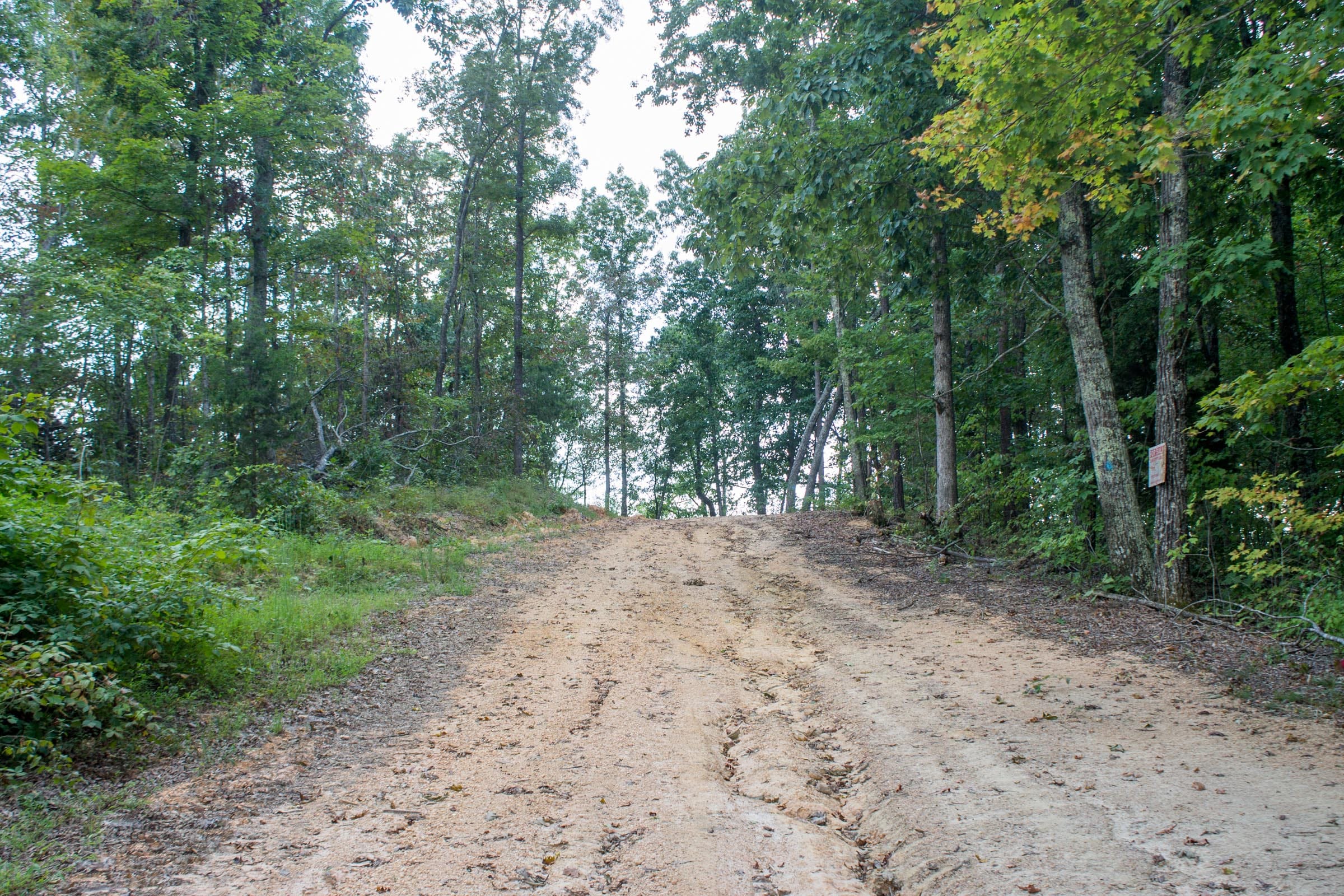 Buck Run Ridge Tract 5 photo 2