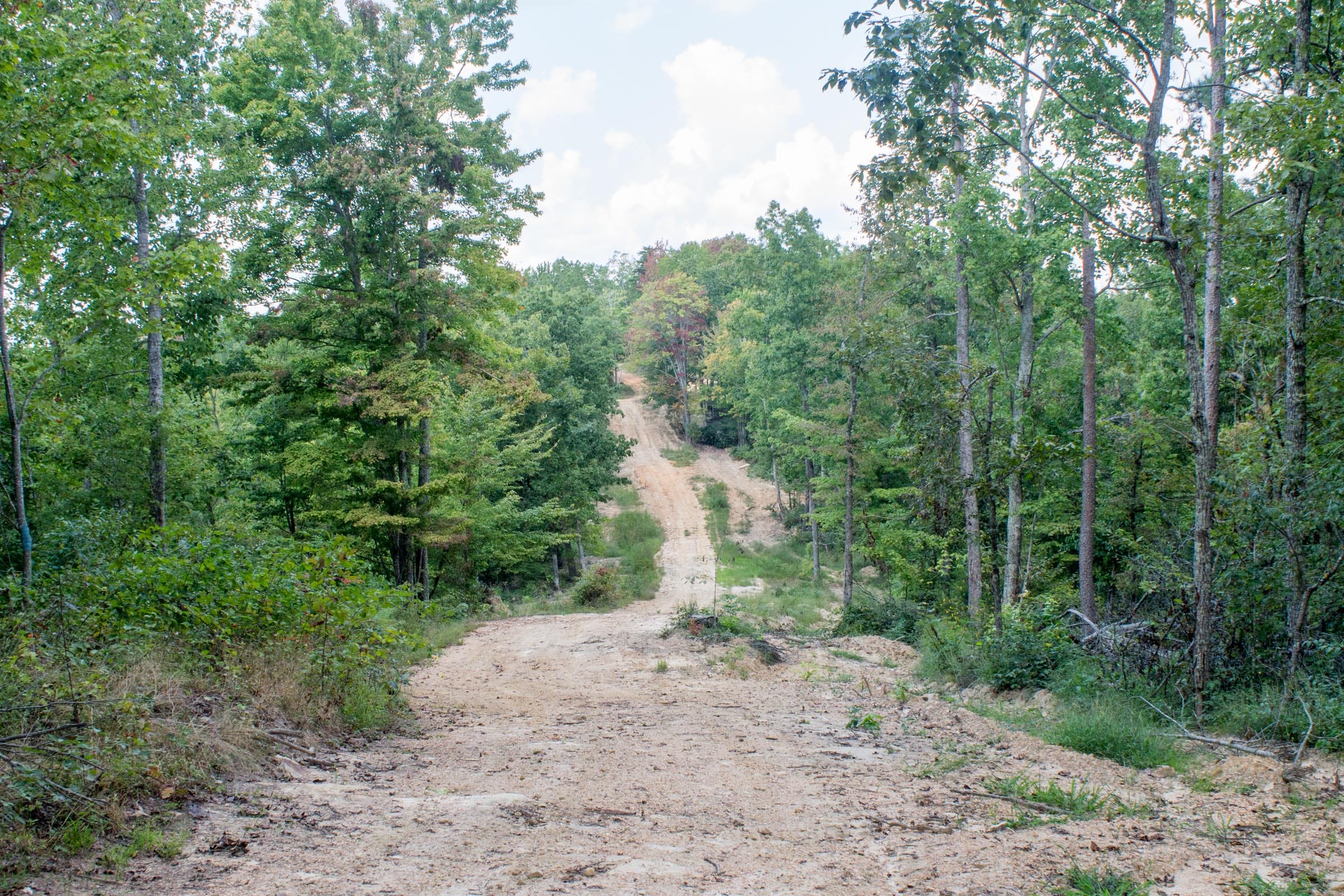 Buck Run Ridge Tract 5 photo 3