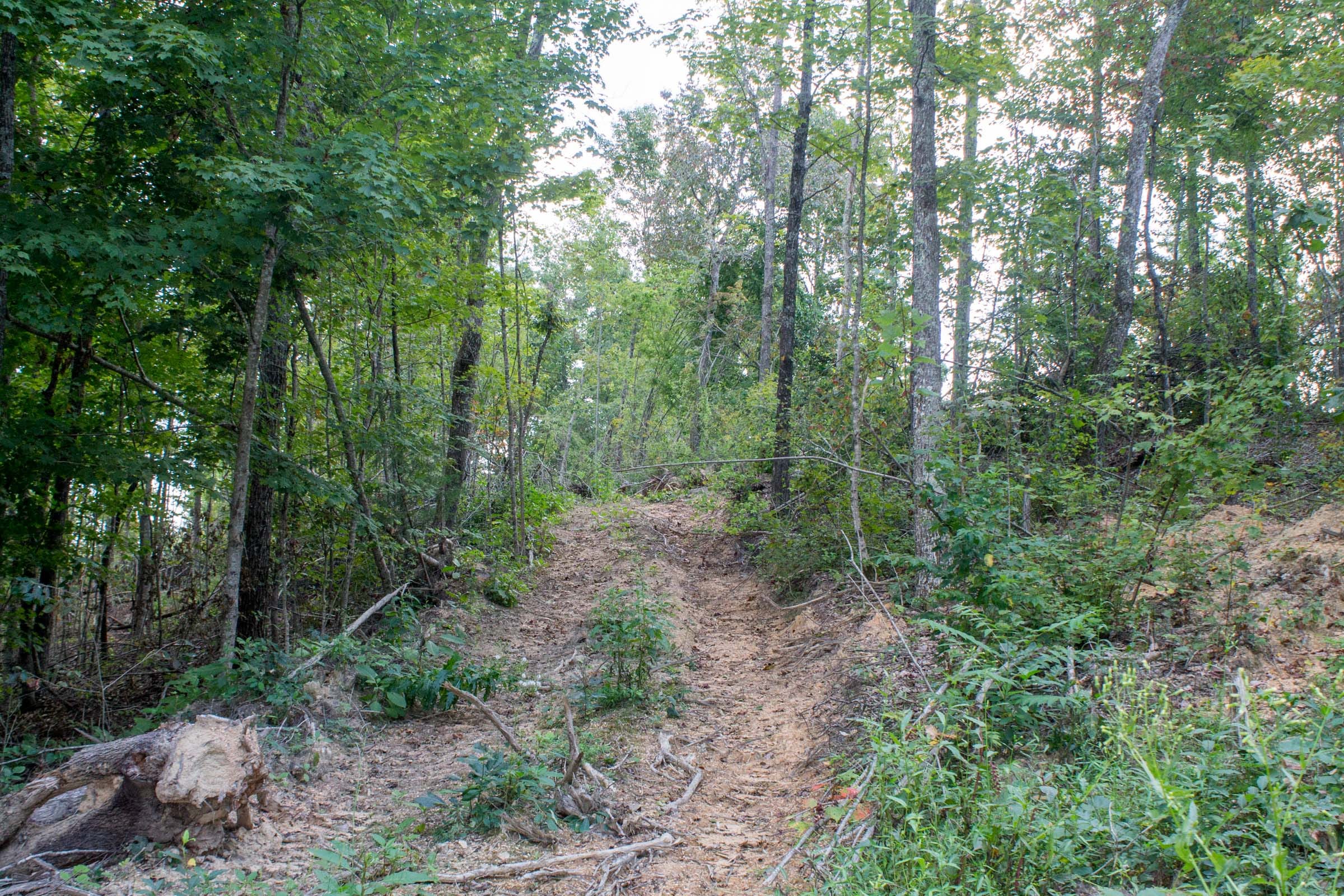 Buck Run Ridge Tract 5 photo 4