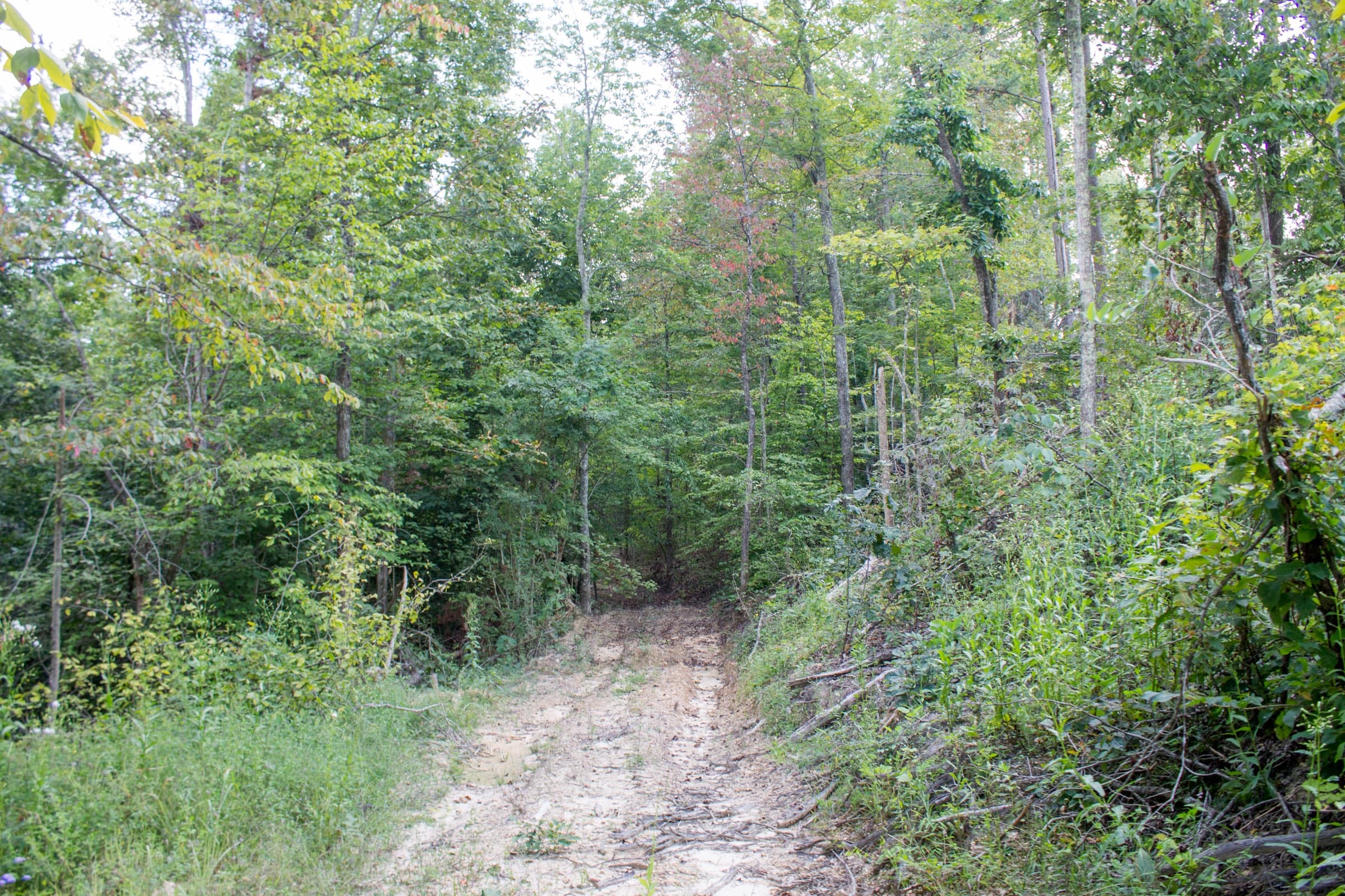 Buck Run Ridge Tract 5 photo 6