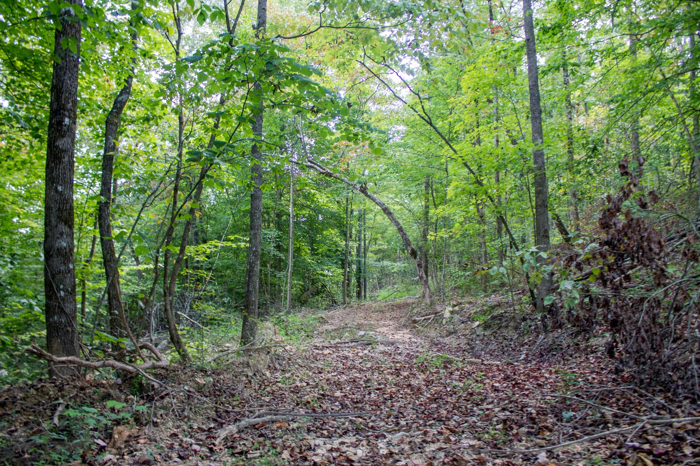 Buck Run Ridge Tract 5 photo 7