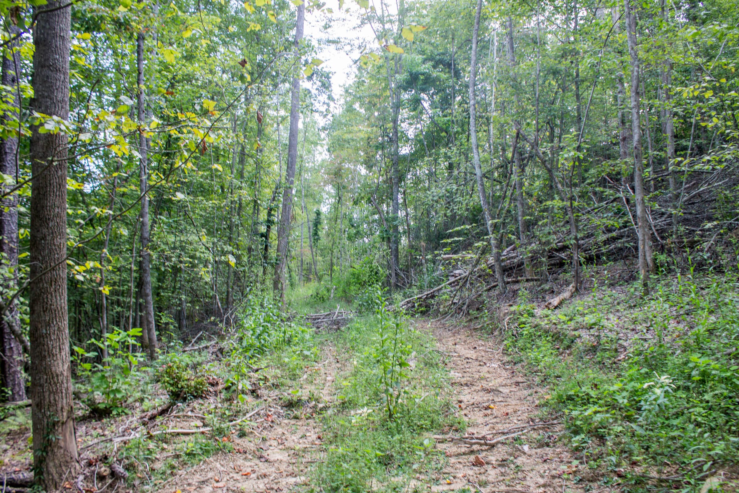 Buck Run Ridge Tract 5 photo 11