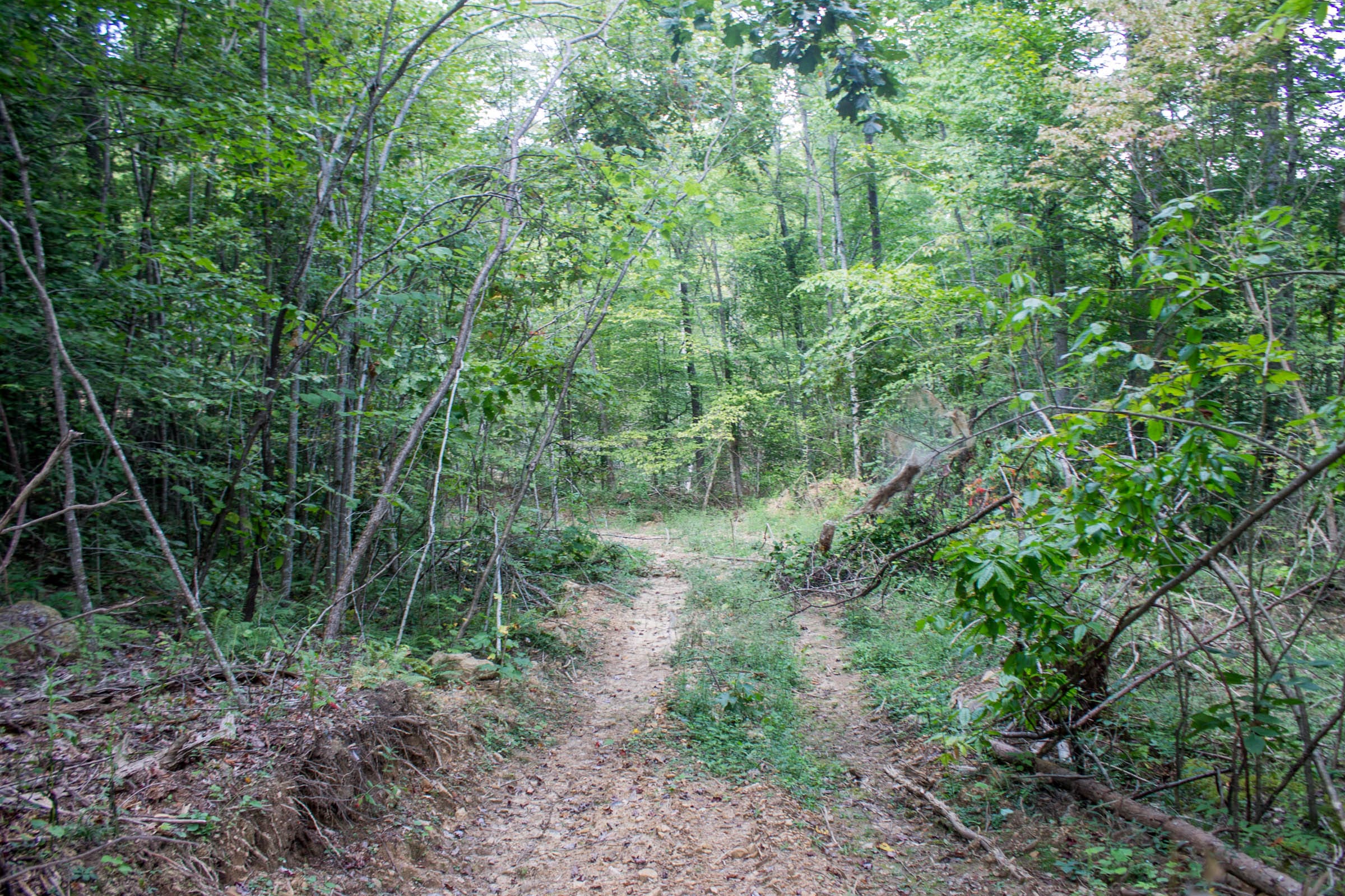 Buck Run Ridge Tract 5 photo 12