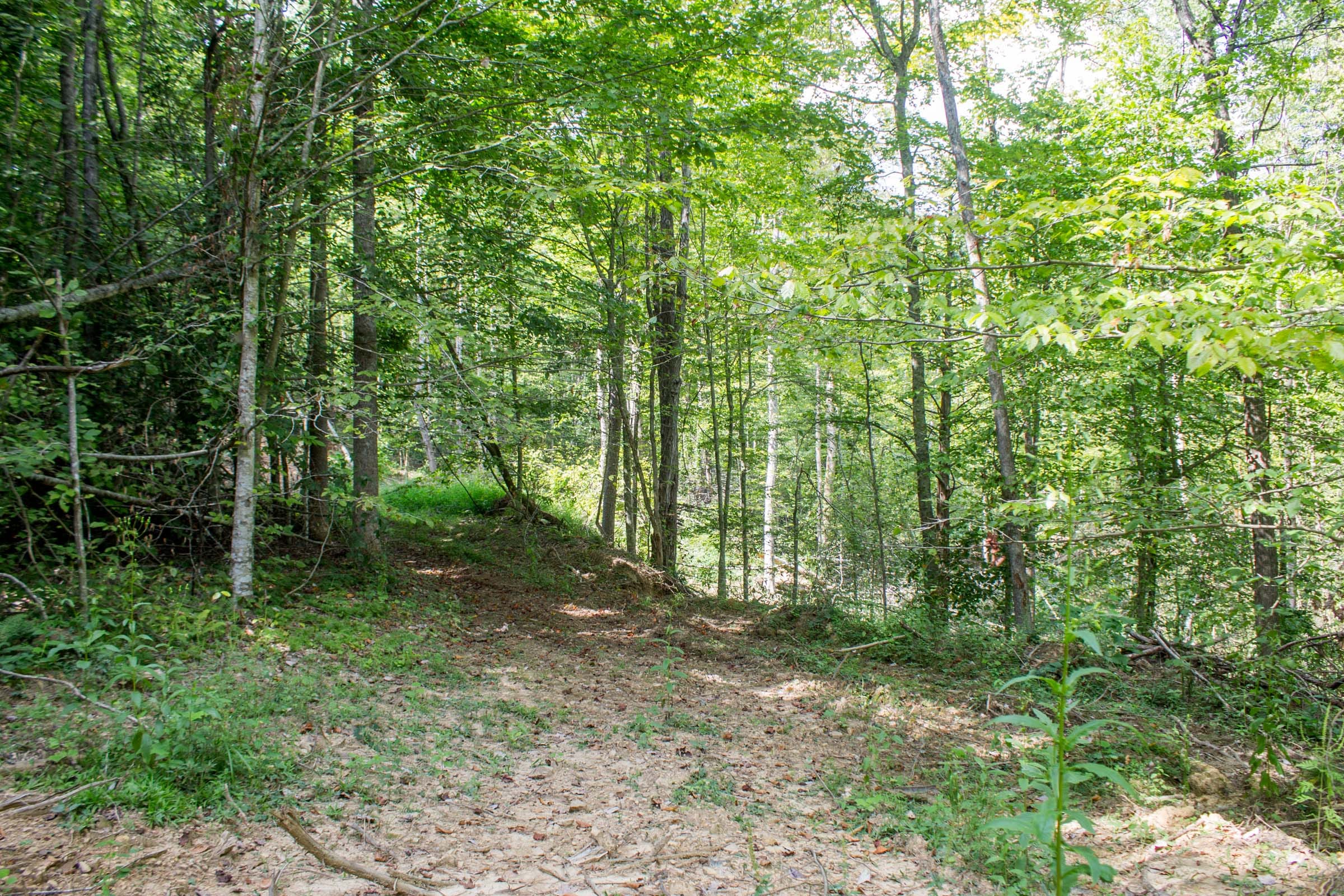 Buck Run Ridge Tract 5 photo 15