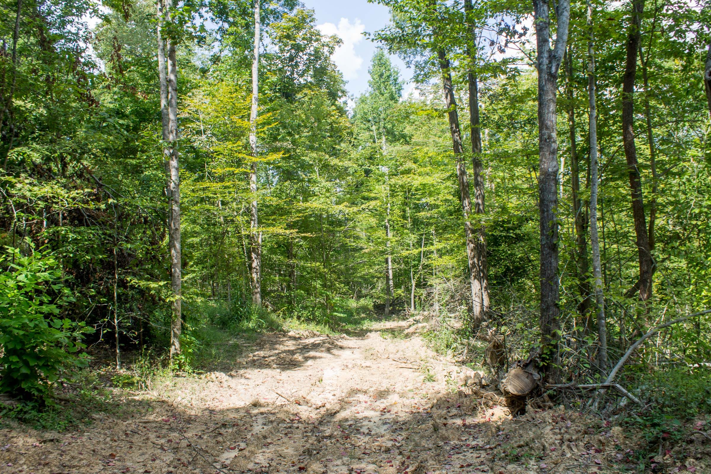 Buck Run Ridge Tract 5 photo 17
