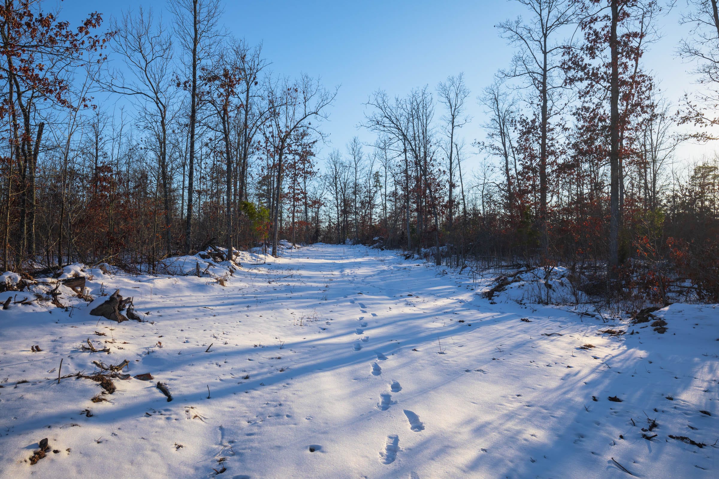 Sleepy Hollow Phase I Tract 55 photo 1