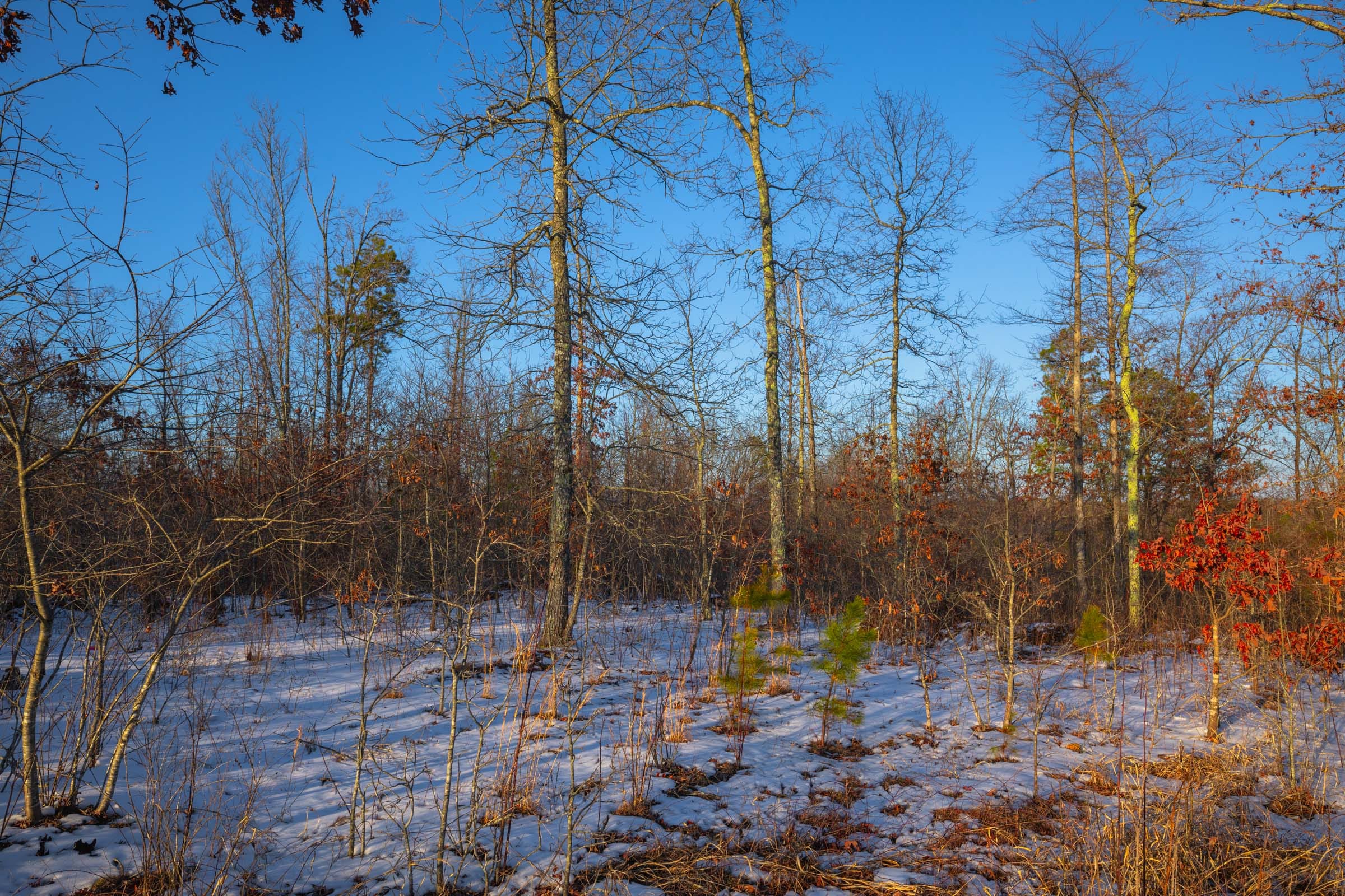 Sleepy Hollow Phase I Tract 55 photo 8
