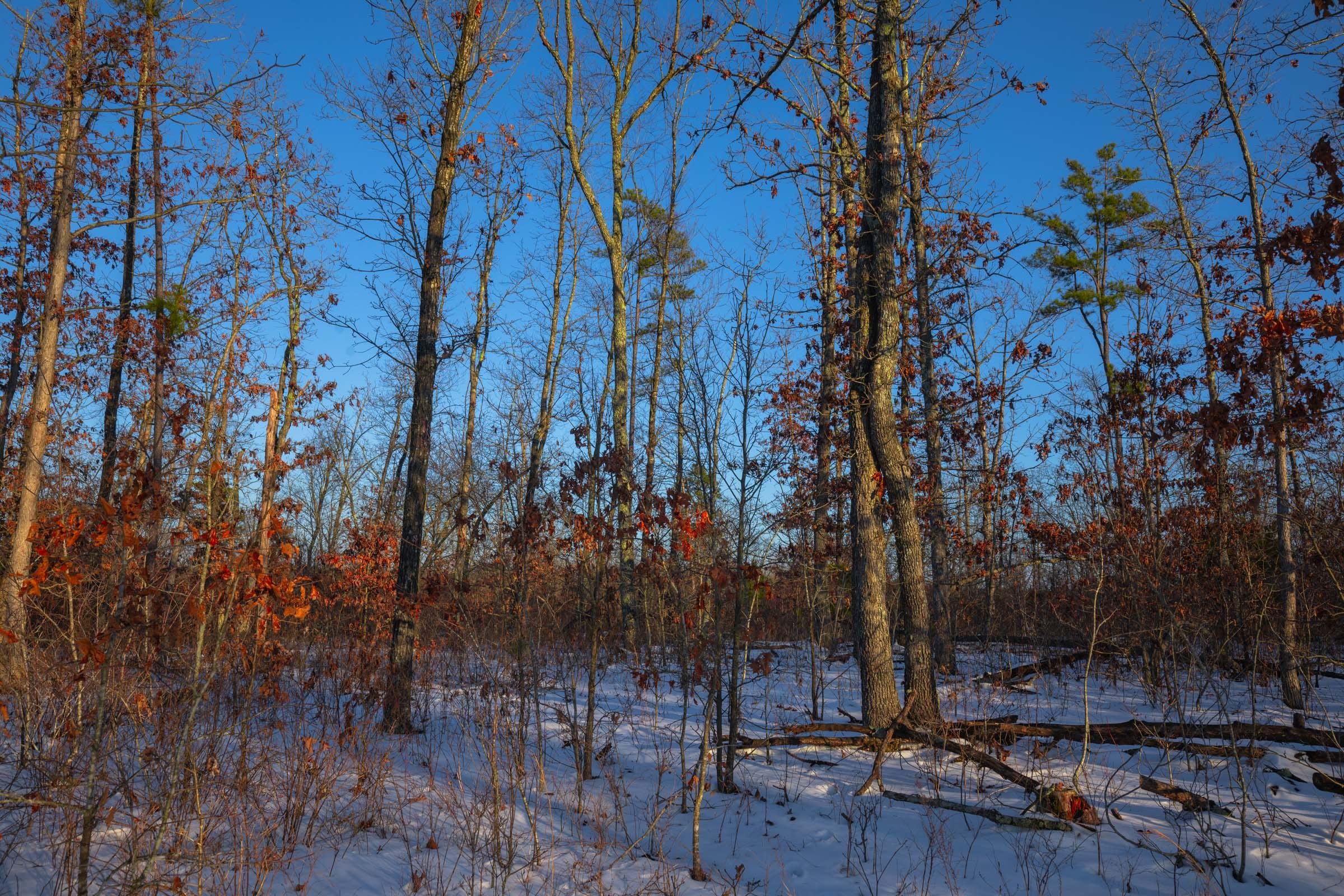 Sleepy Hollow Phase I Tract 55 photo 4