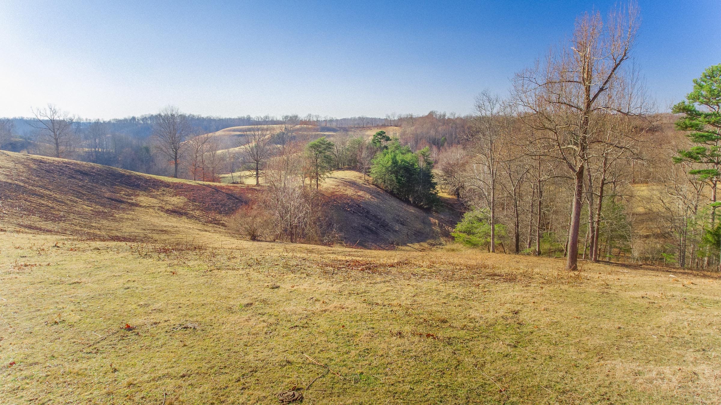 Serenity Creek Tract 6 photo 11