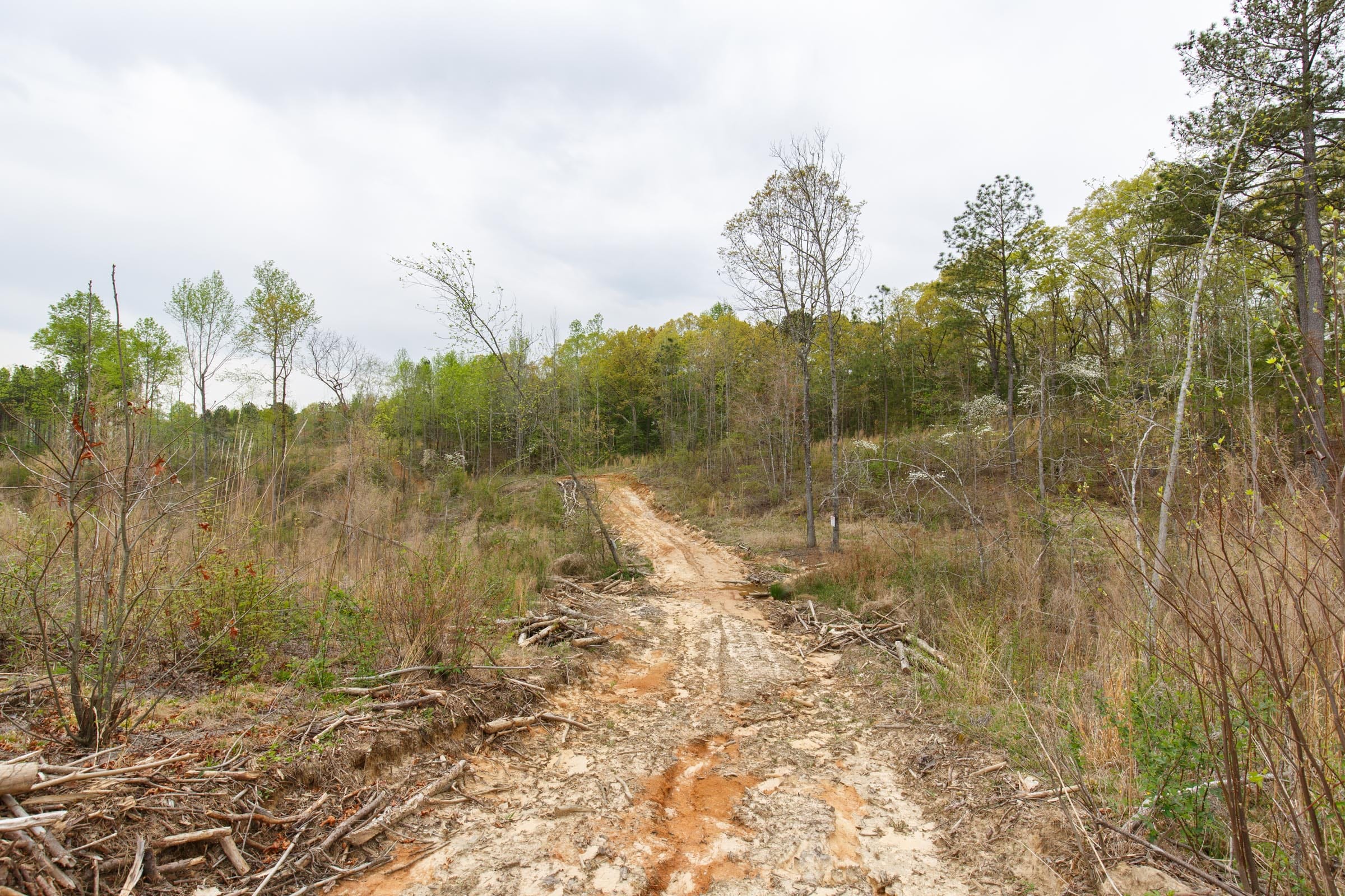 Twin Rivers Tract 16 photo 5