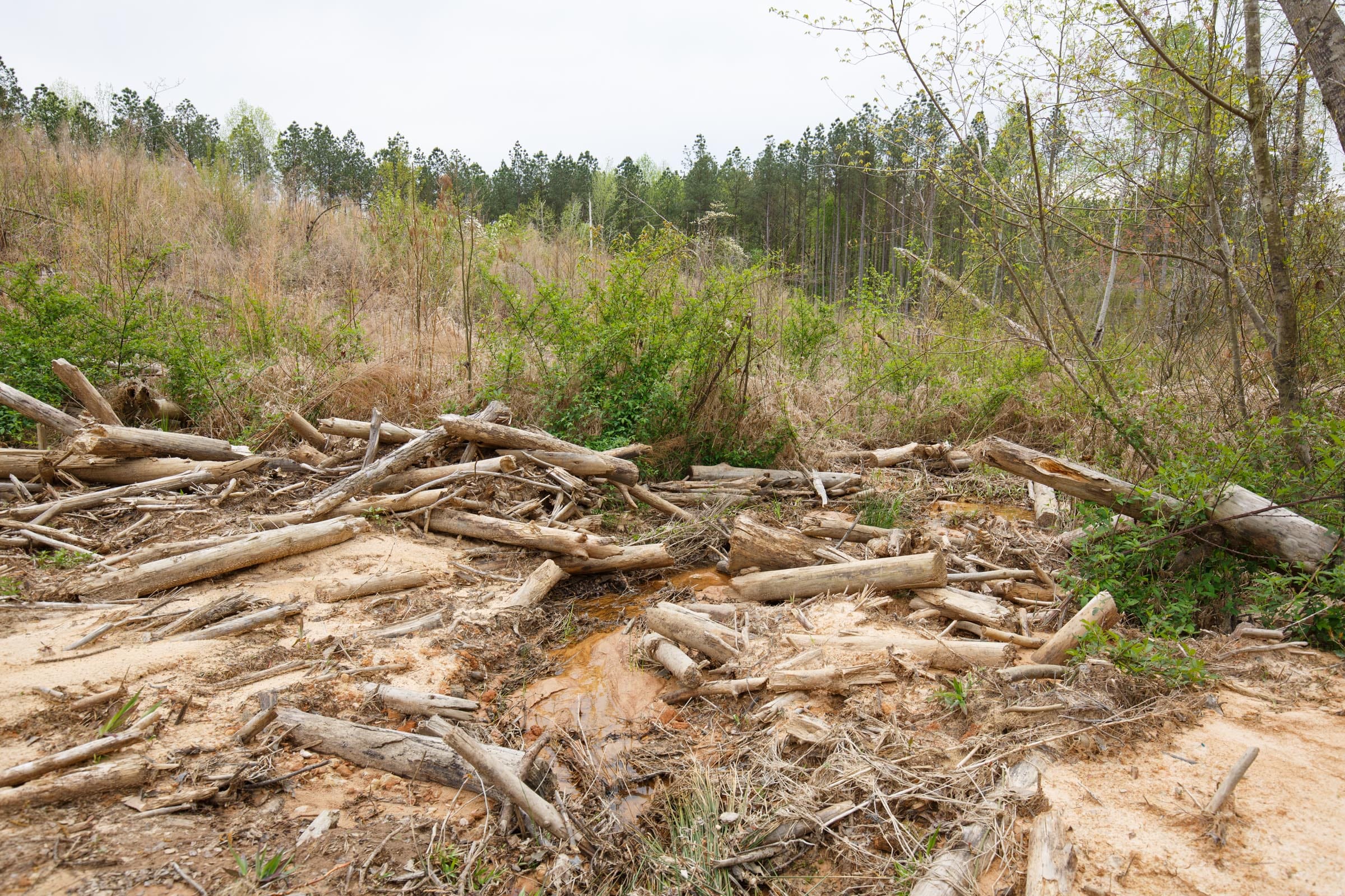 Twin Rivers Tract 16 photo 3