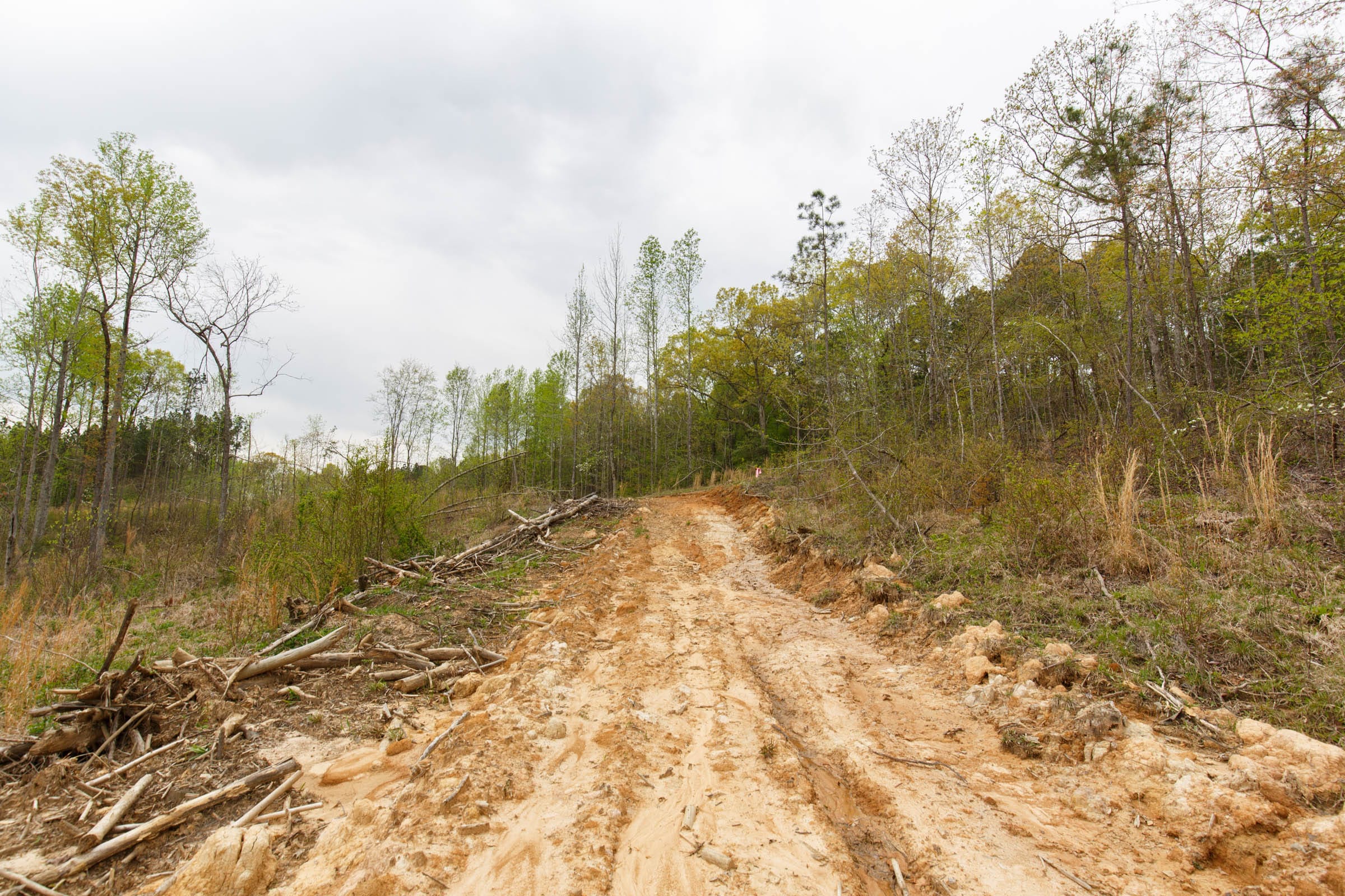 Twin Rivers Tract 16 photo 7