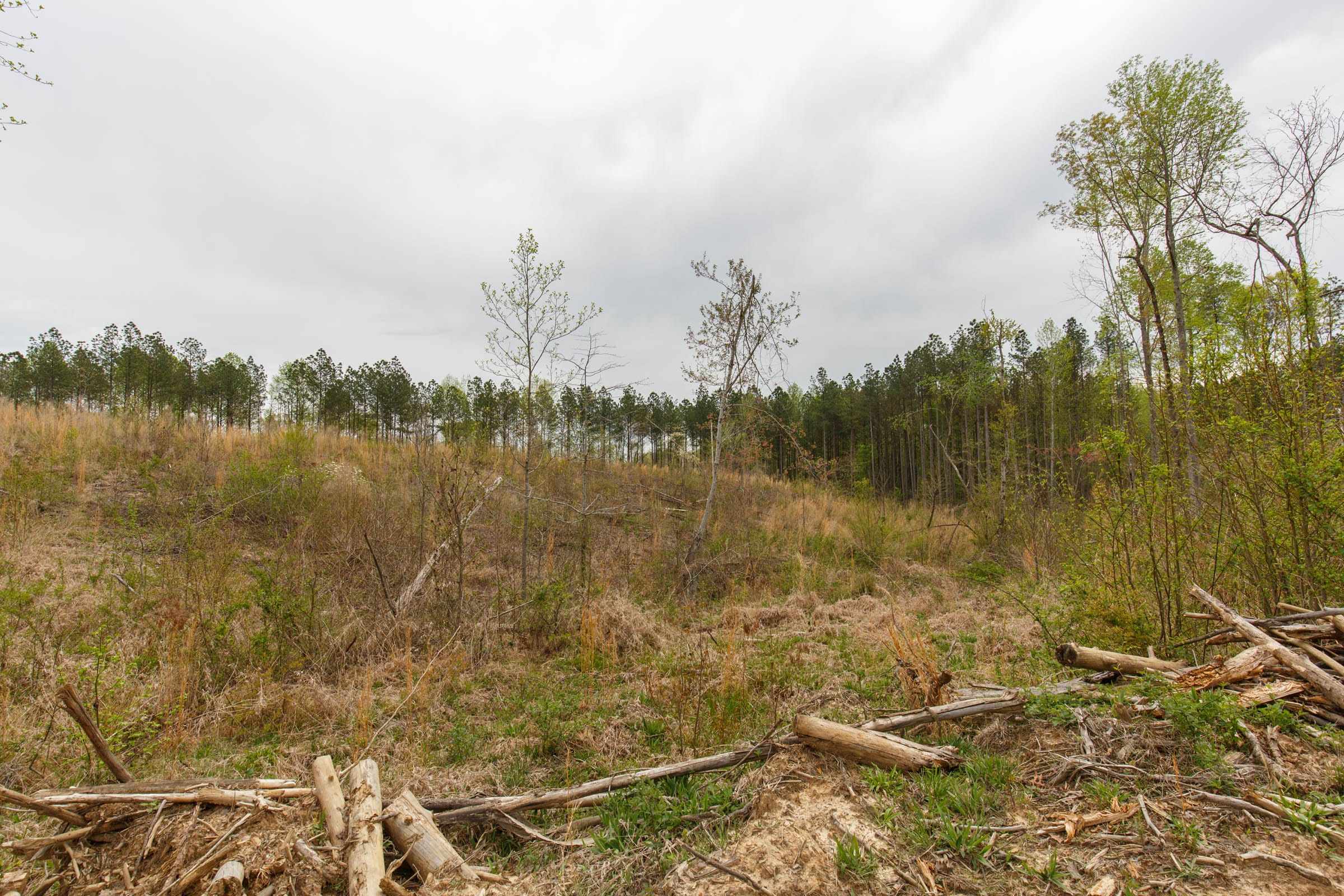 Twin Rivers Tract 16 photo 4