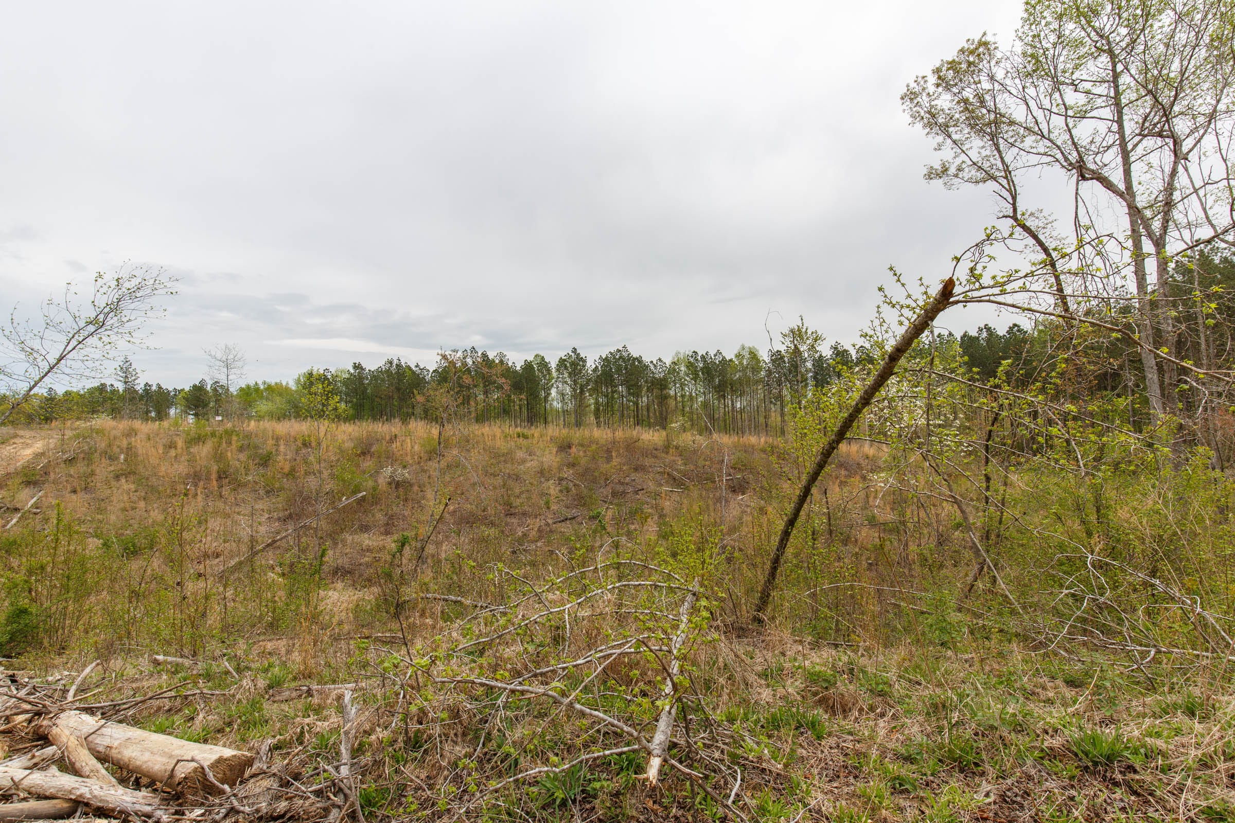 Twin Rivers Tract 16 photo 6