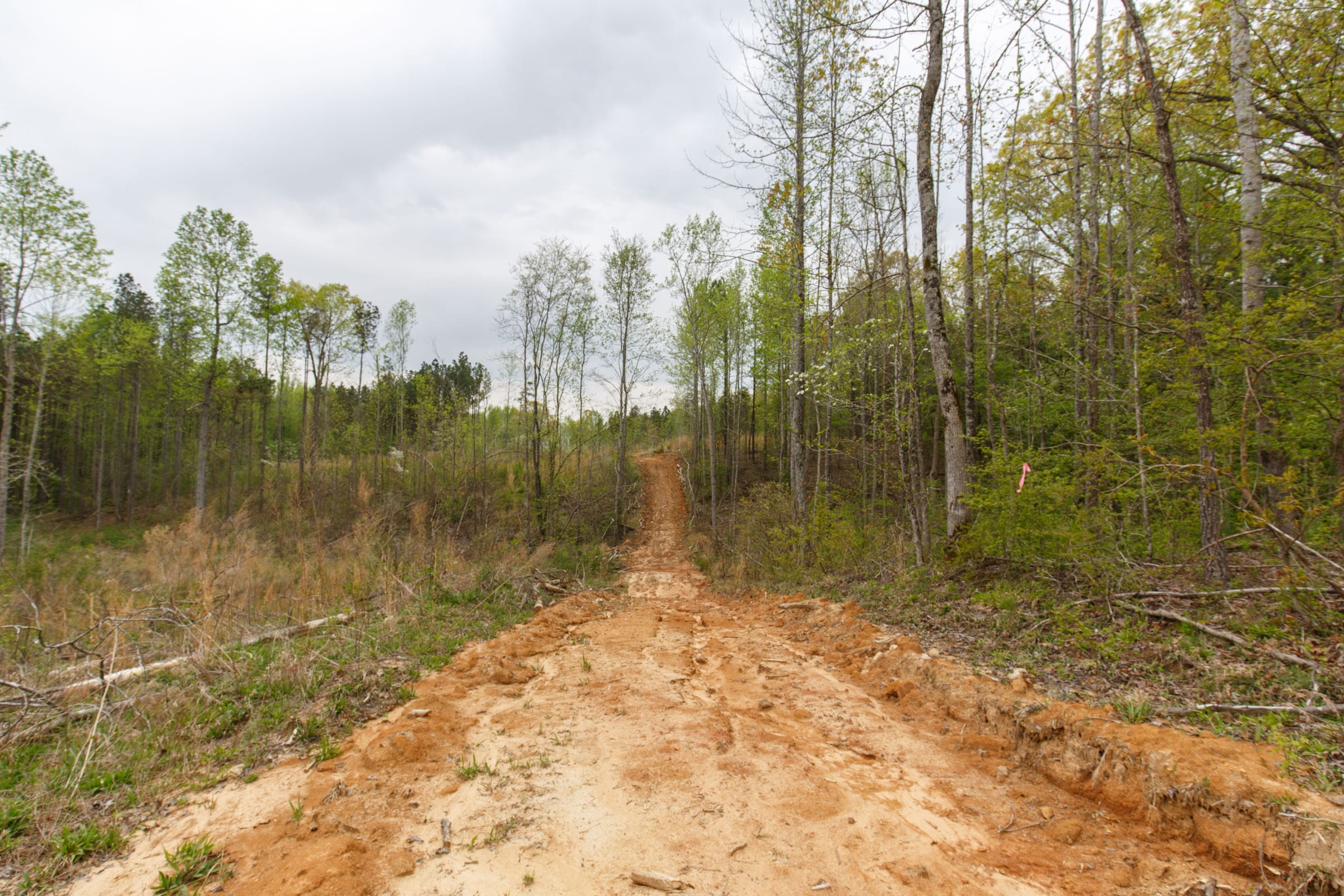 Twin Rivers Tract 16 photo 2
