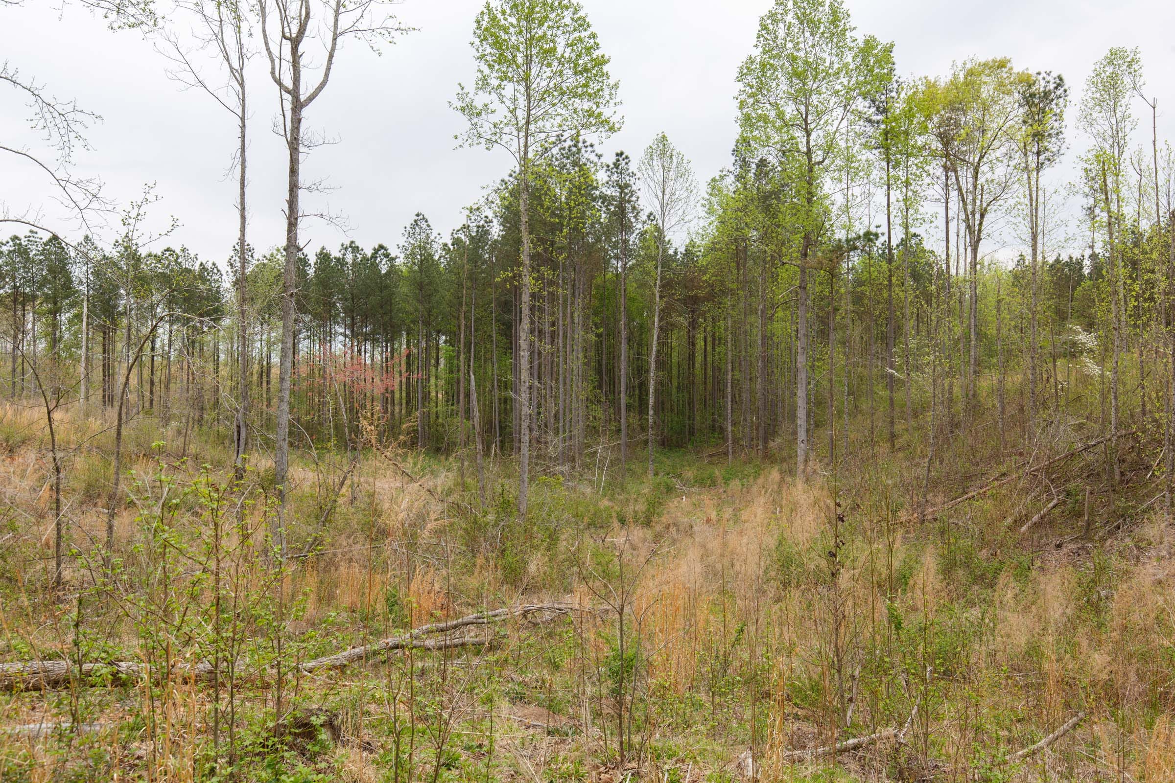 Twin Rivers Tract 16 photo 8