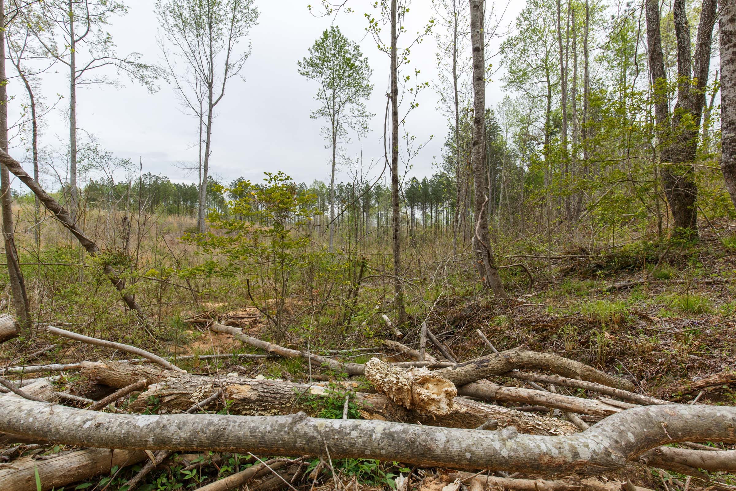 Twin Rivers Tract 16 photo 9