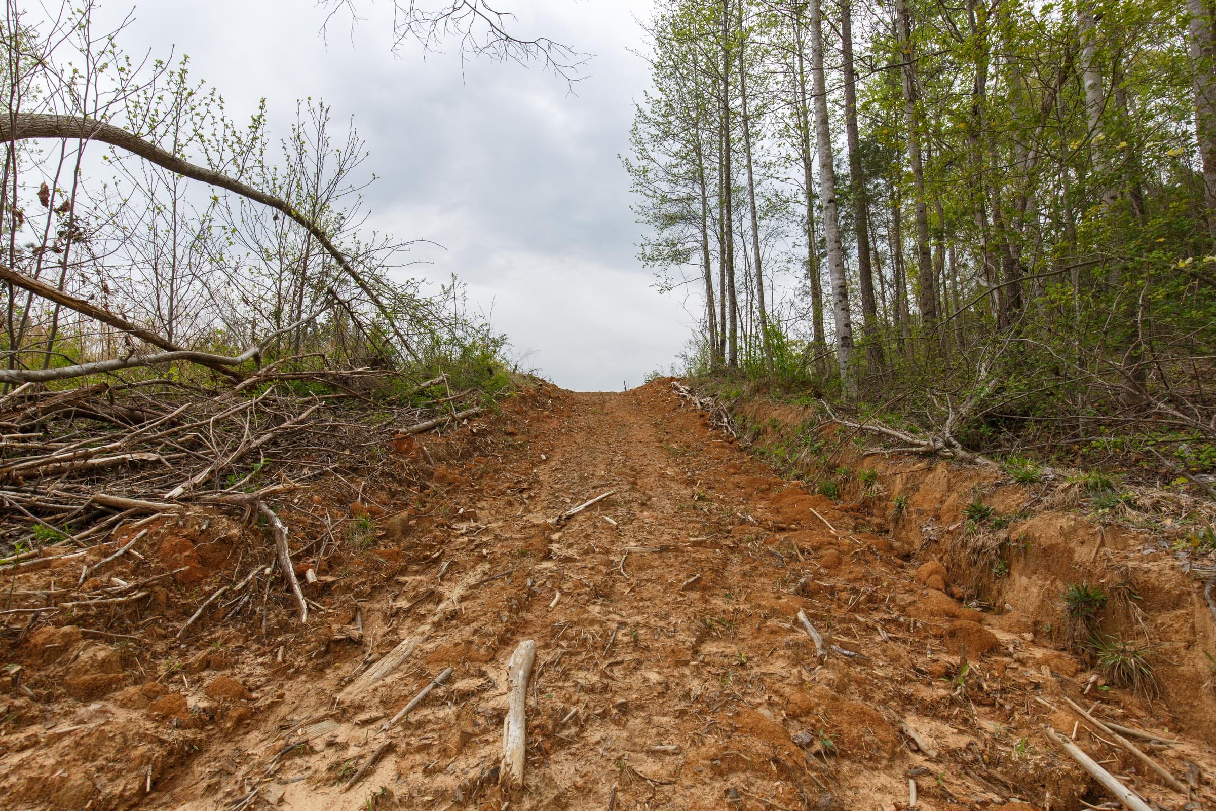 Twin Rivers Tract 16 photo 10