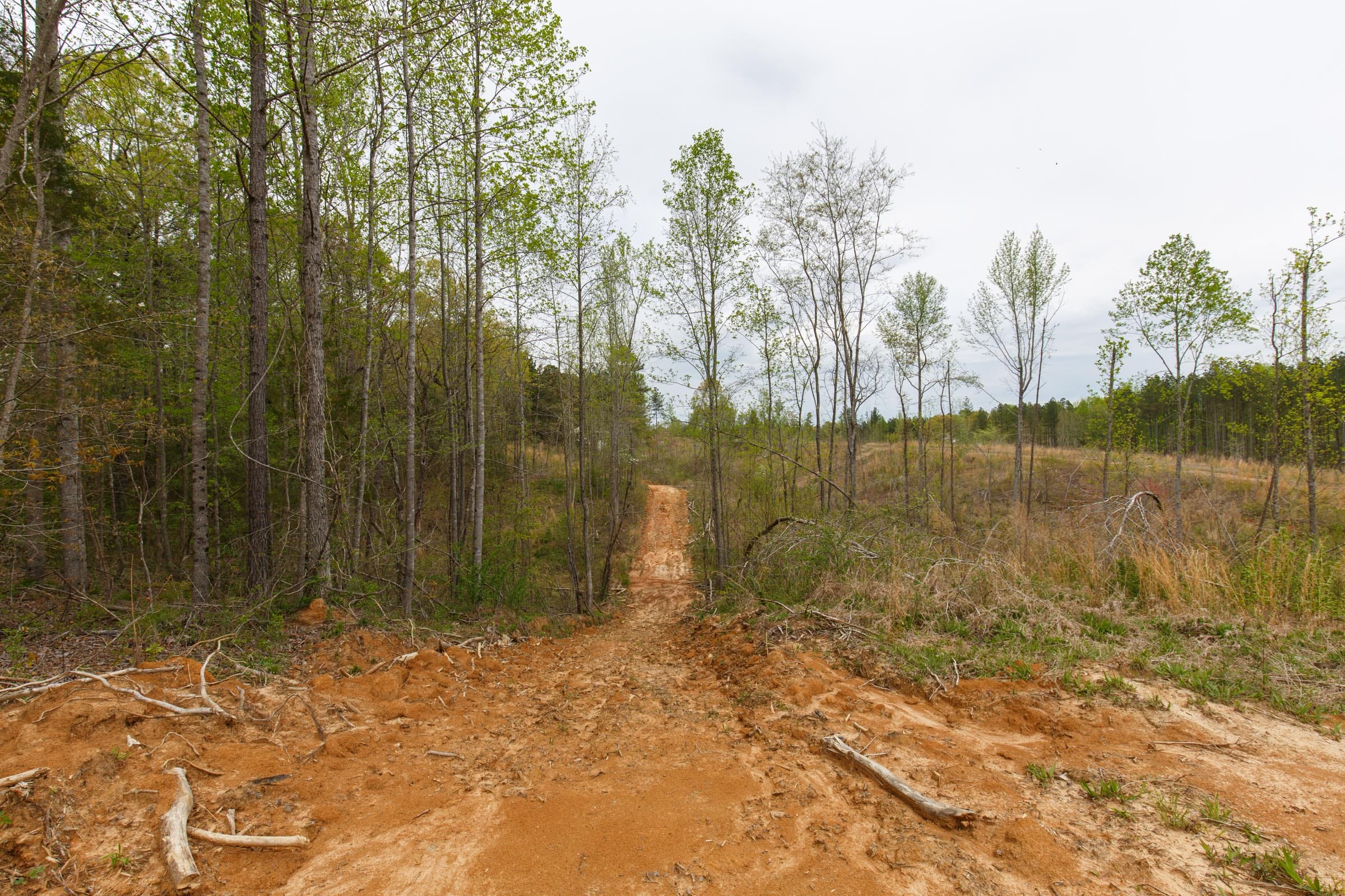 Twin Rivers Tract 16 photo 13