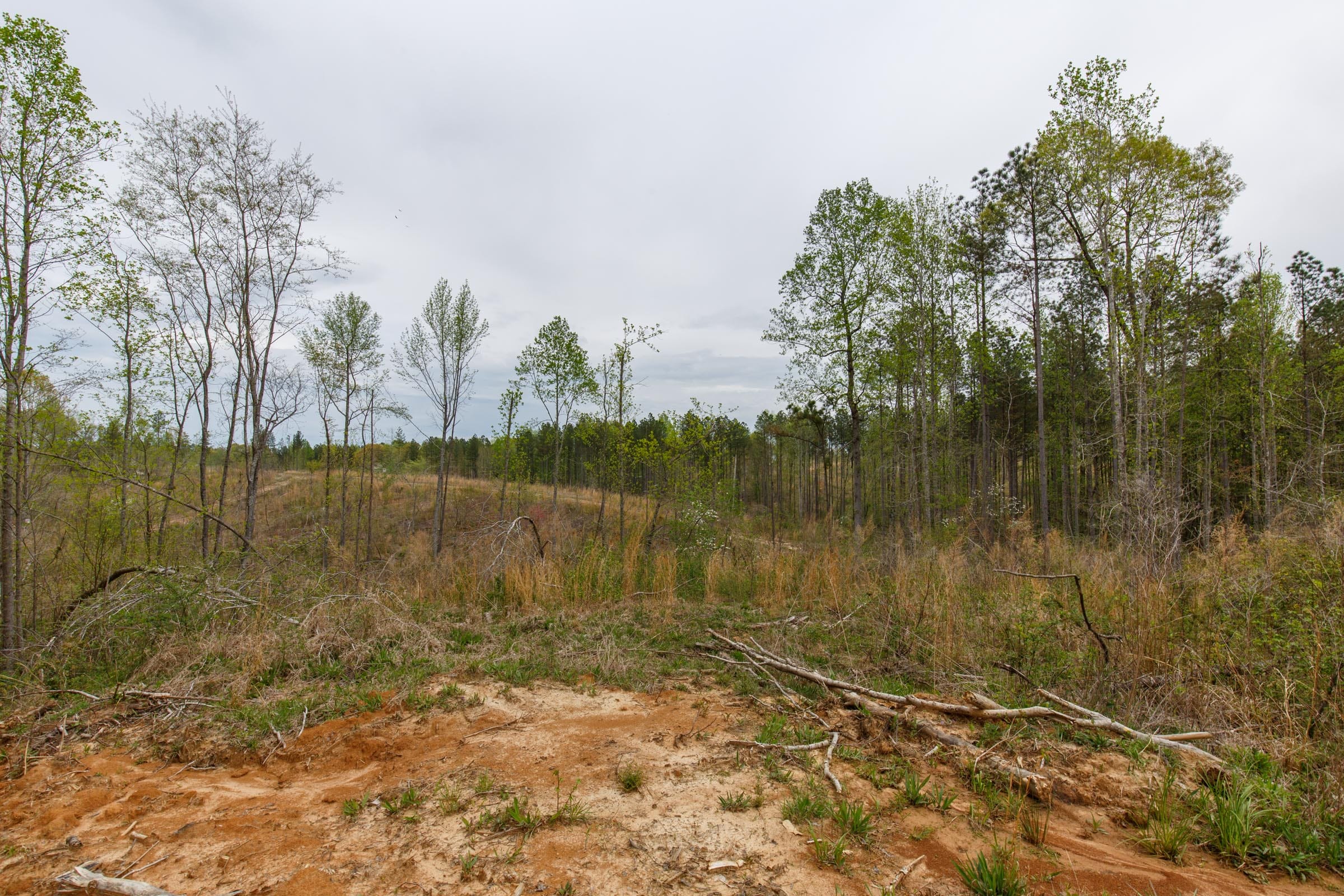 Twin Rivers Tract 16 photo 14