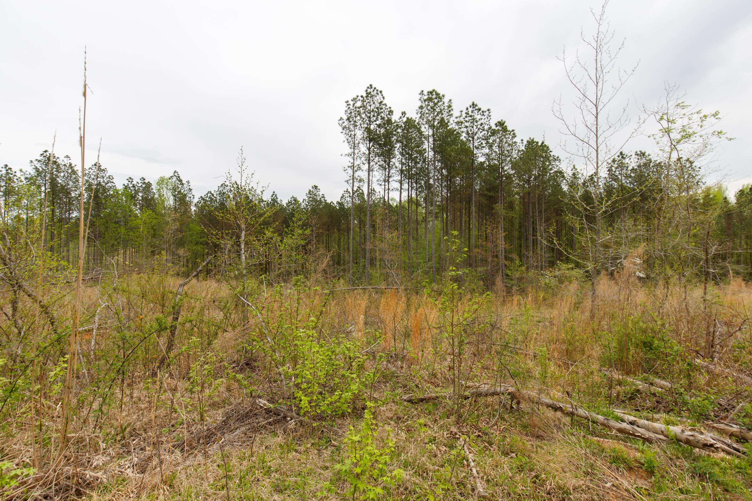 Twin Rivers Tract 16 photo 12