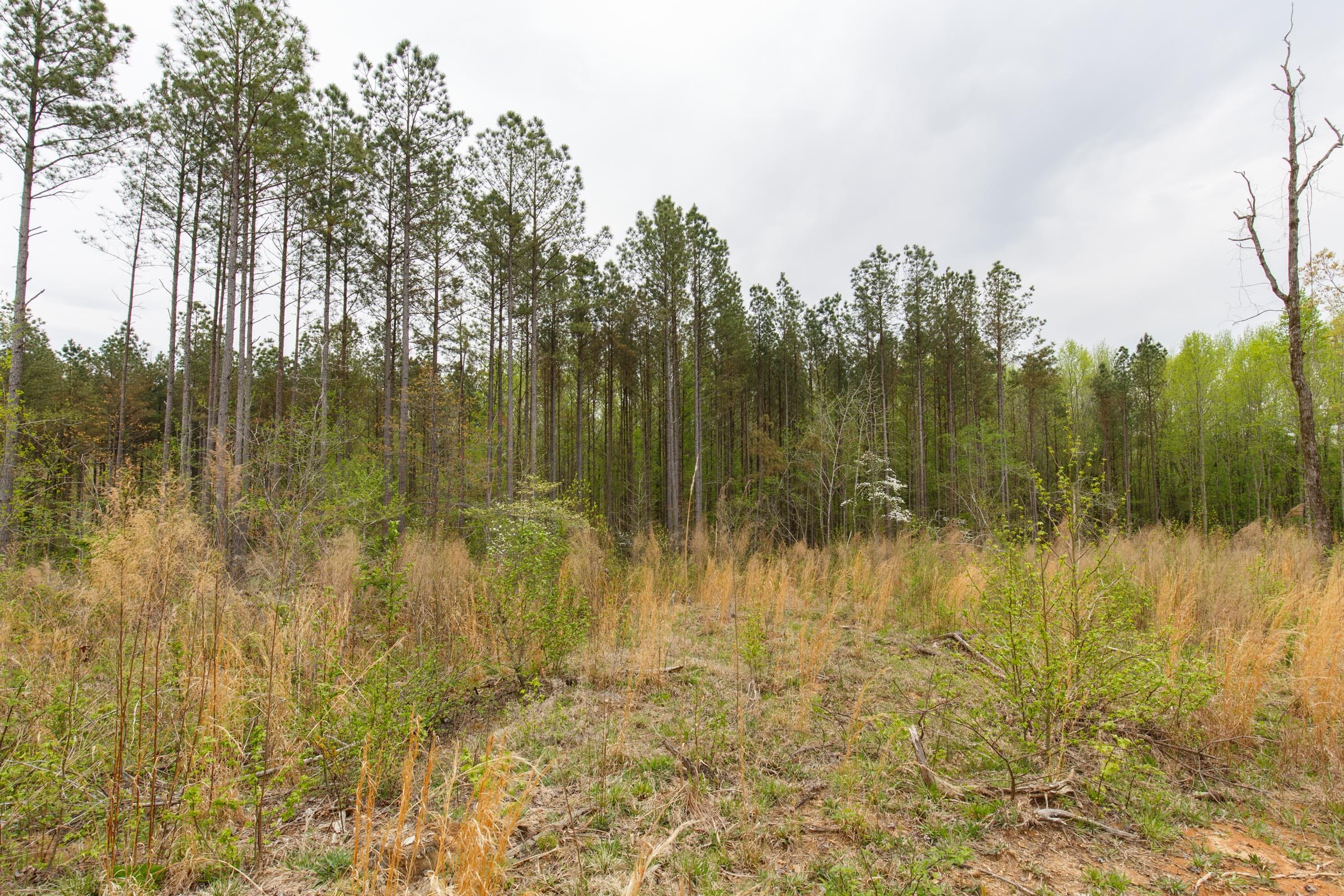 Twin Rivers Tract 16 photo 15