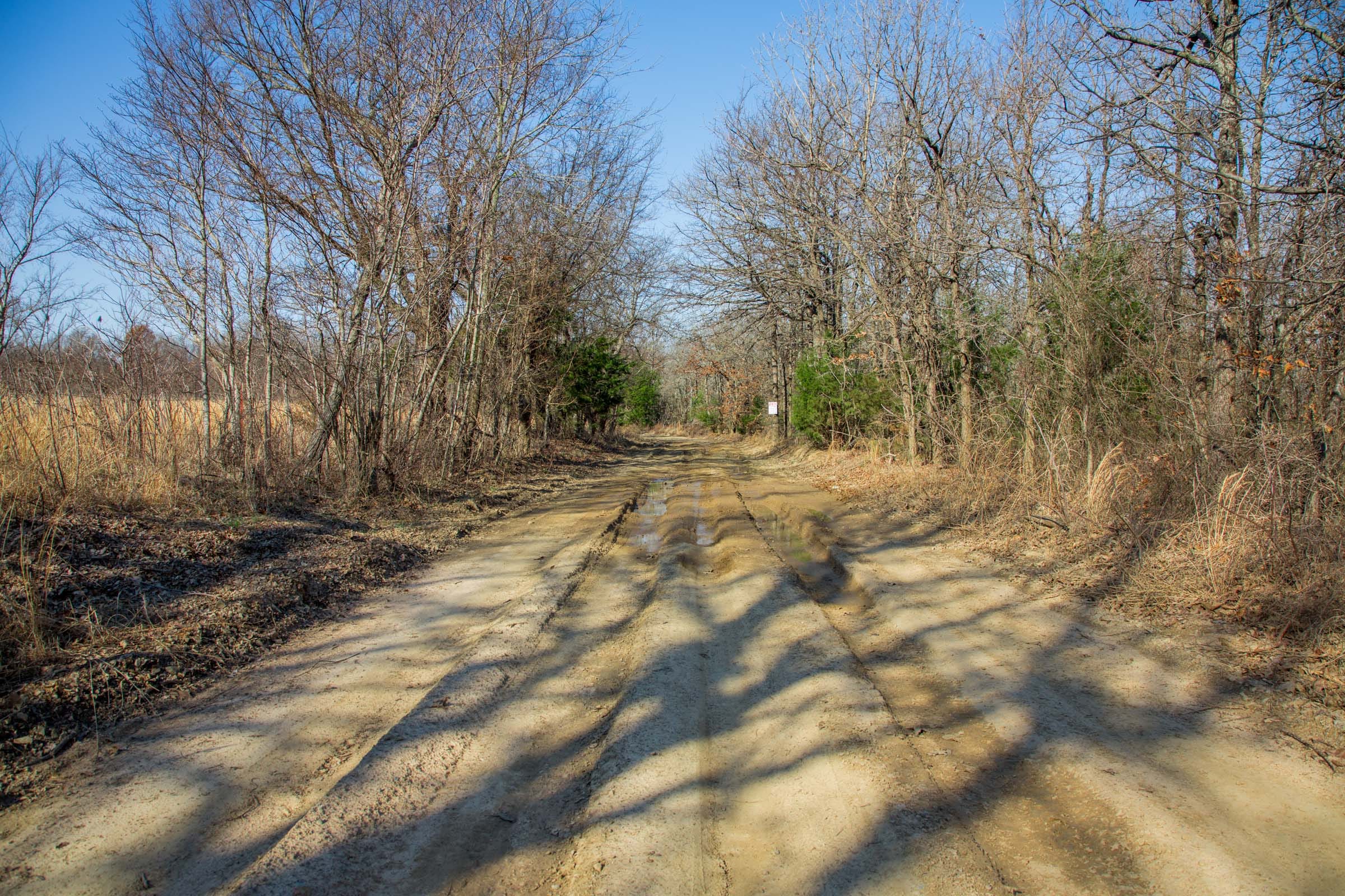 Eufaula Cove Tract 19 photo 2