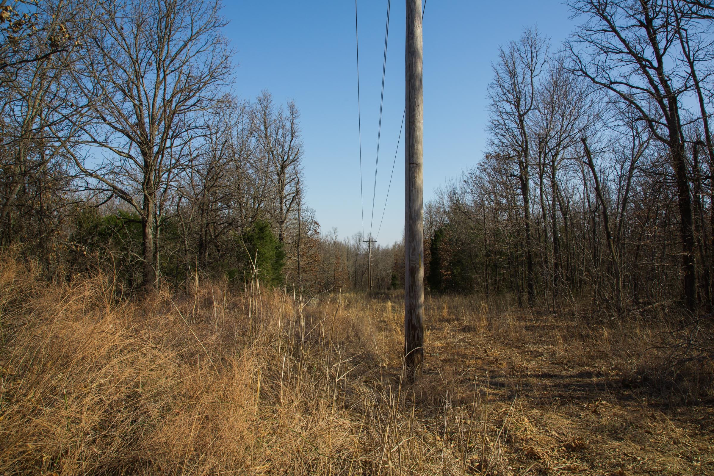 Eufaula Cove Tract 19 photo 3