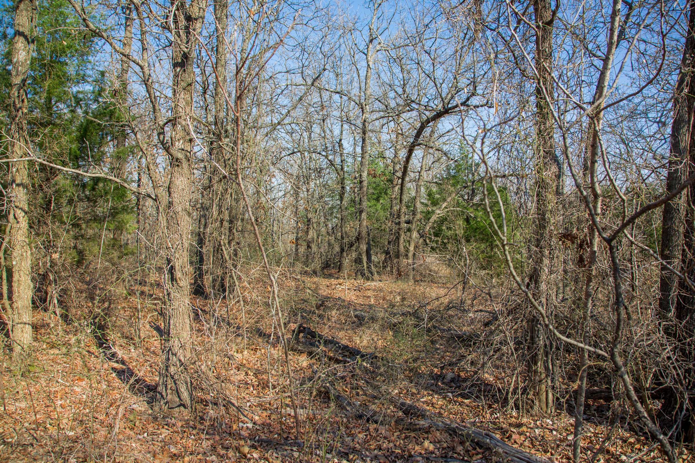 Eufaula Cove Tract 19 photo 4