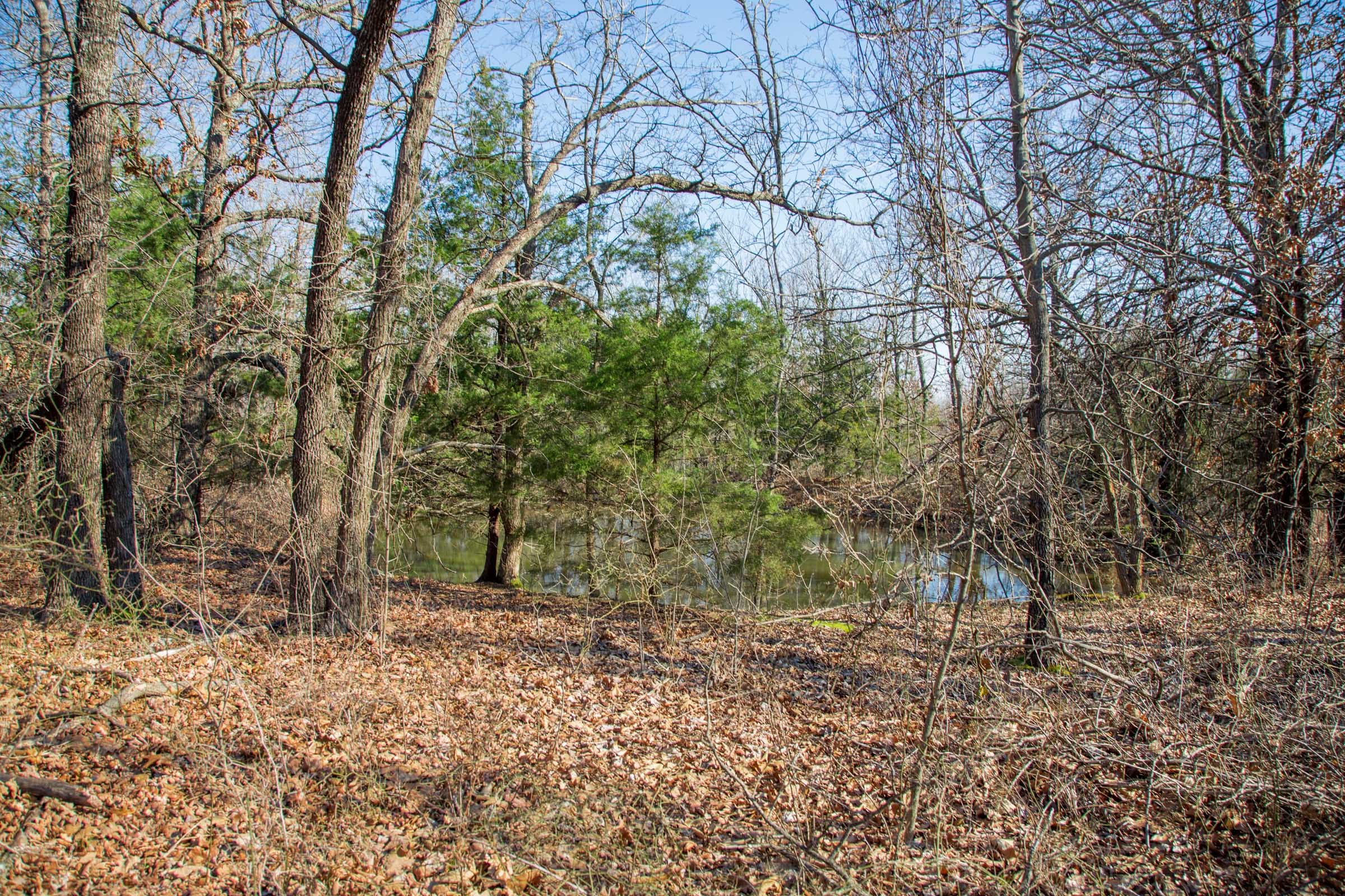 Eufaula Cove Tract 19 photo 5