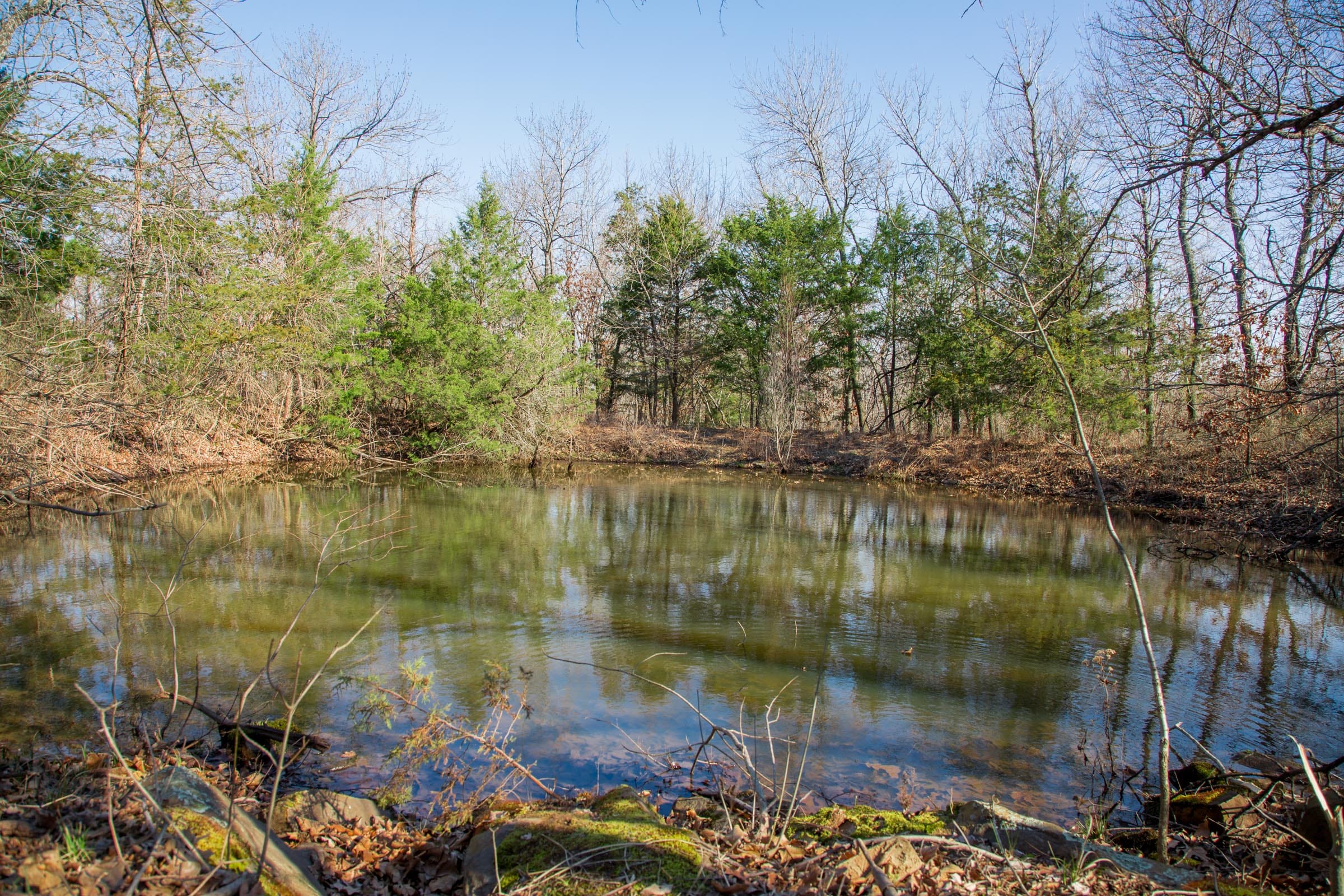 Eufaula Cove Tract 19 photo 6