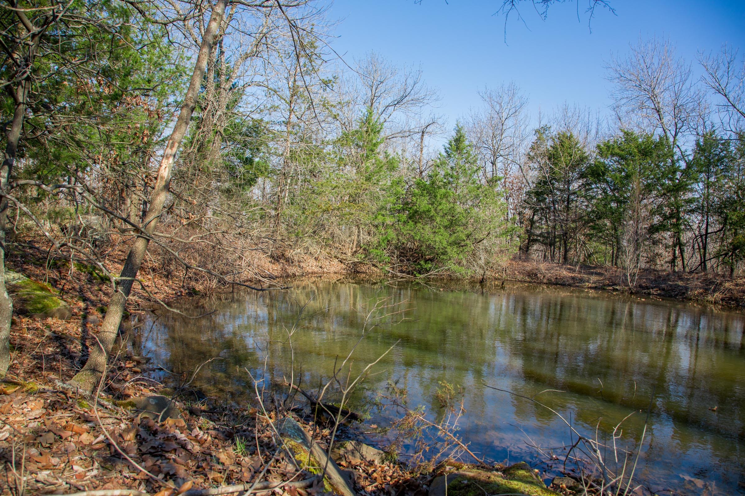 Eufaula Cove Tract 19 photo 7