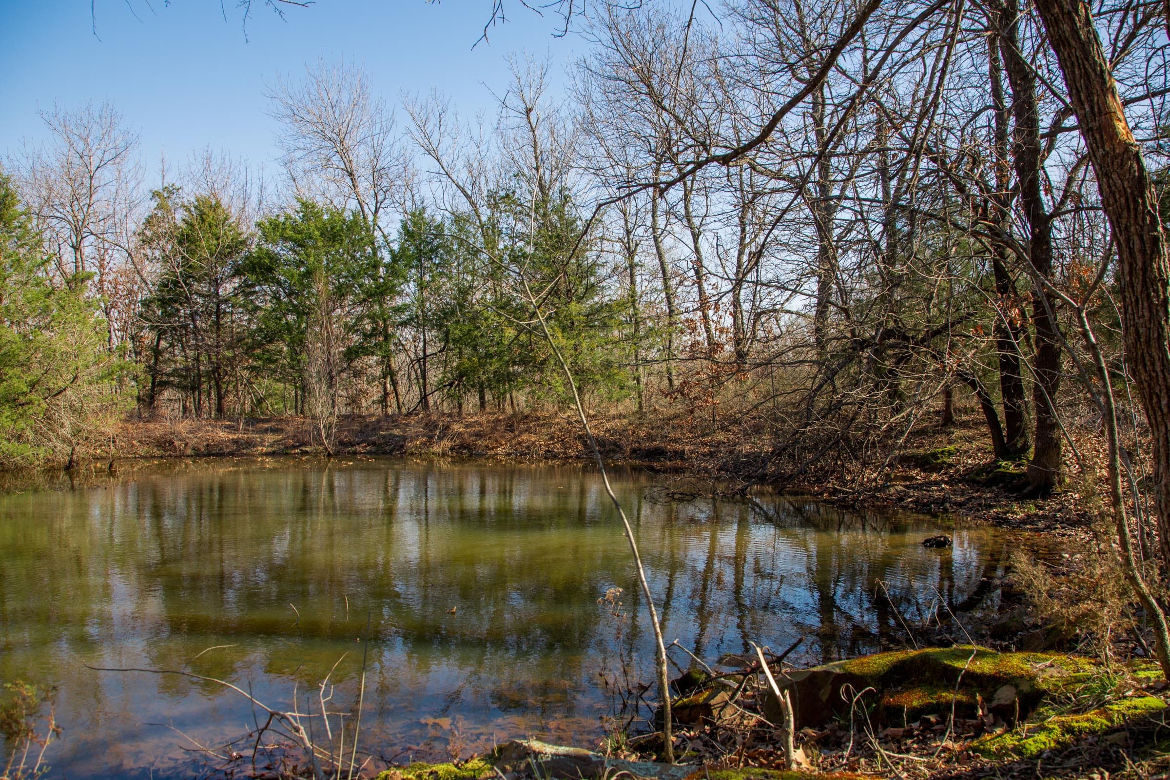 Eufaula Cove Tract 19 photo 8